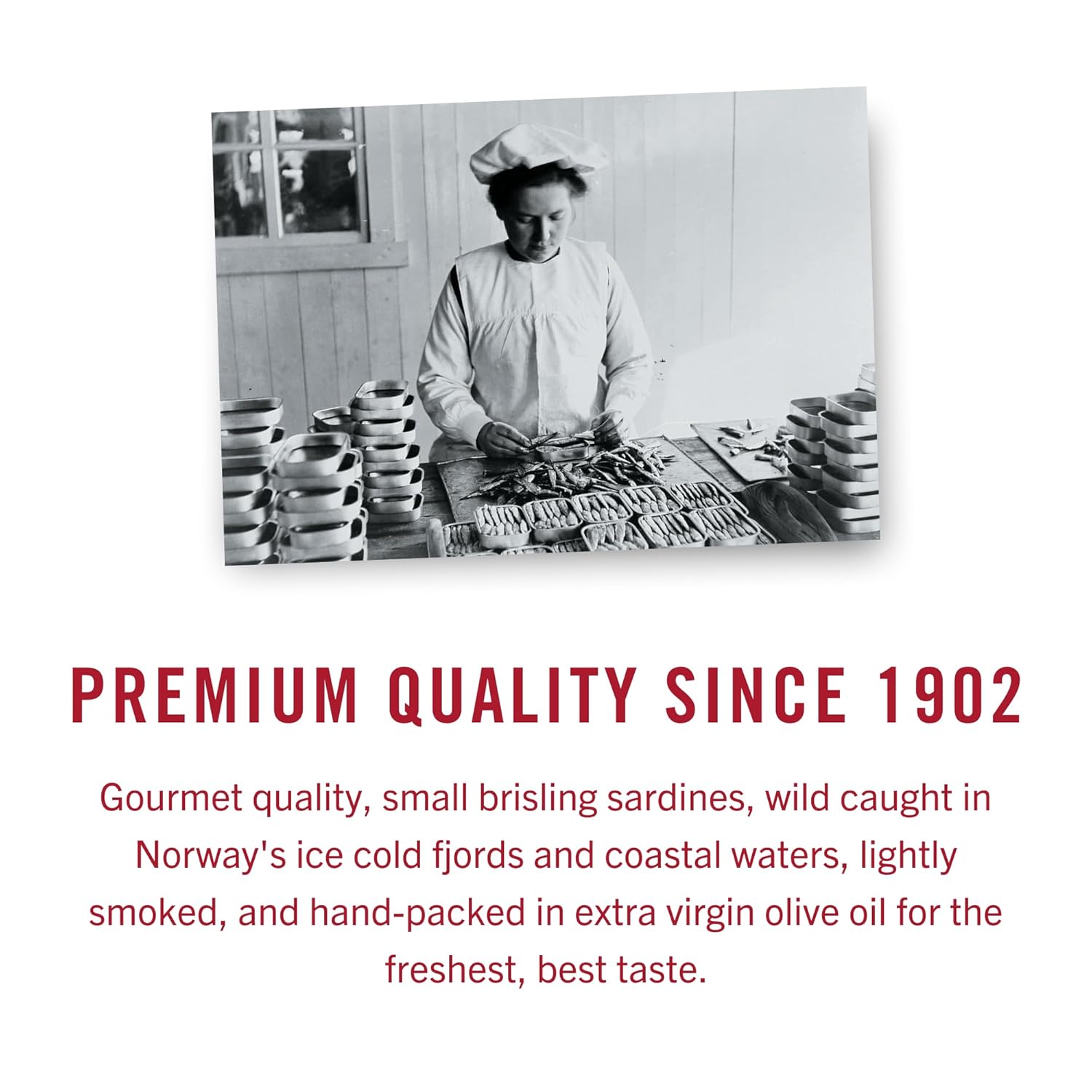 King Oscar Sardines Extra Virgin Olive Oil, 3.75-Ounce Cans (Pack of 12)7