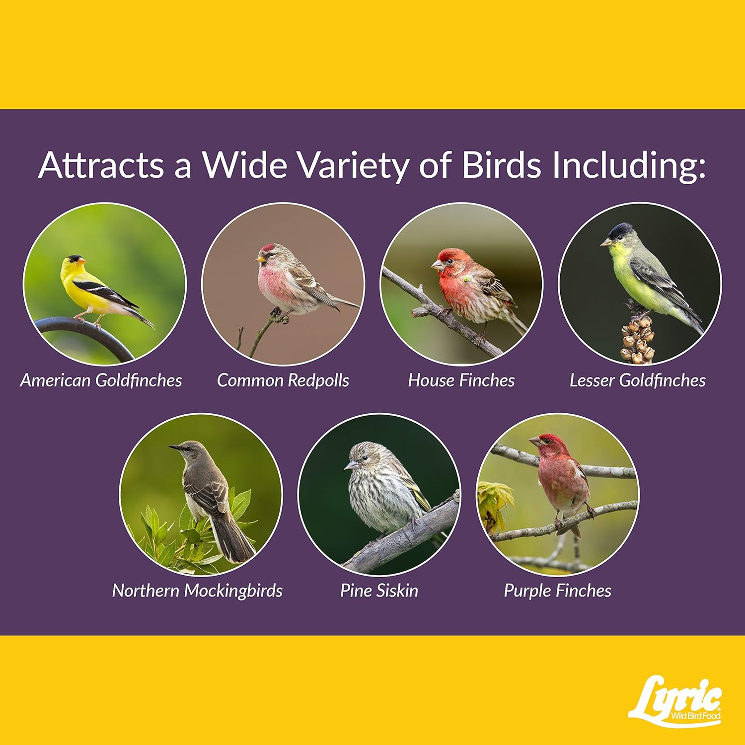 Lyric Finch - Small Songbird Wild Bird Seed - Attracts Goldfinches, House Finches, Purple Finches & More - 20 lb. bag0