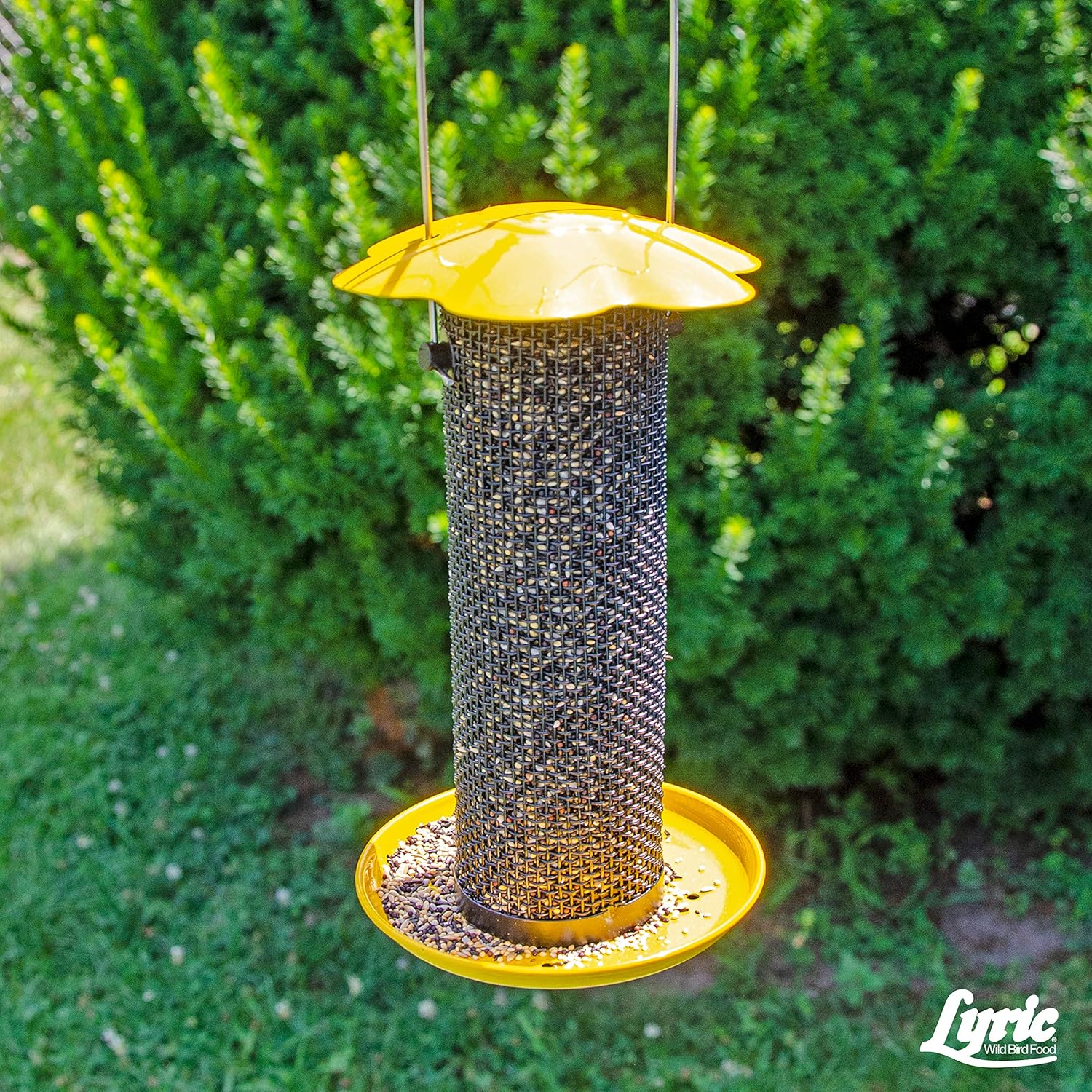 Lyric Finch - Small Songbird Wild Bird Seed - Attracts Goldfinches, House Finches, Purple Finches & More - 20 lb. bag12