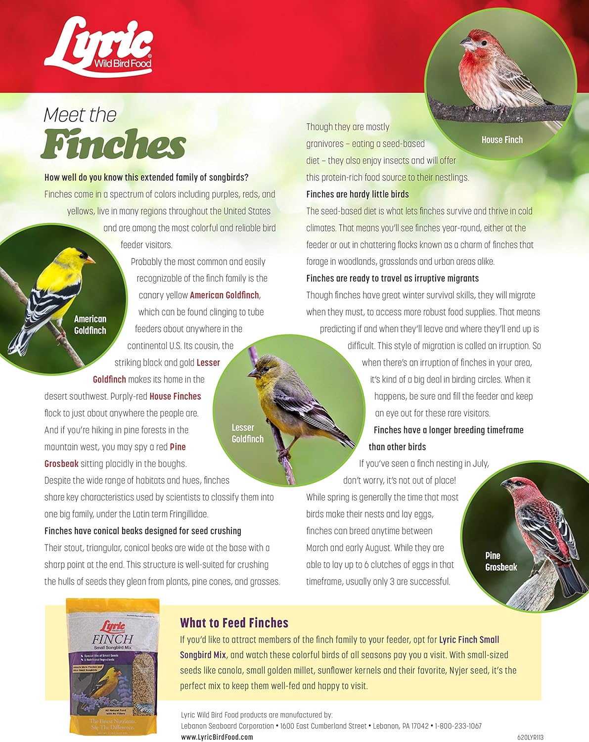Lyric Finch - Small Songbird Wild Bird Seed - Attracts Goldfinches, House Finches, Purple Finches & More - 20 lb. bag13