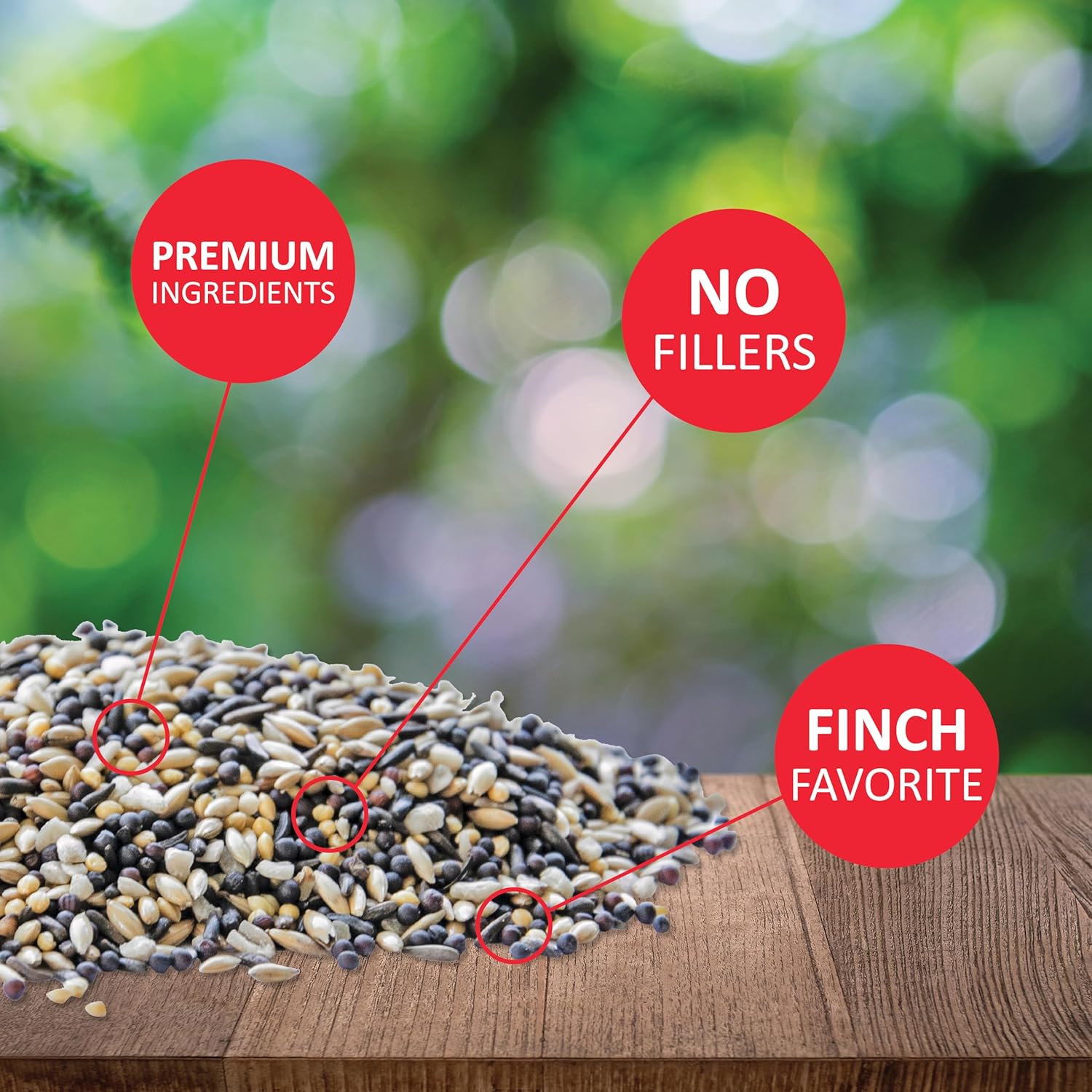 Lyric Finch - Small Songbird Wild Bird Seed - Attracts Goldfinches, House Finches, Purple Finches & More - 20 lb. bag6