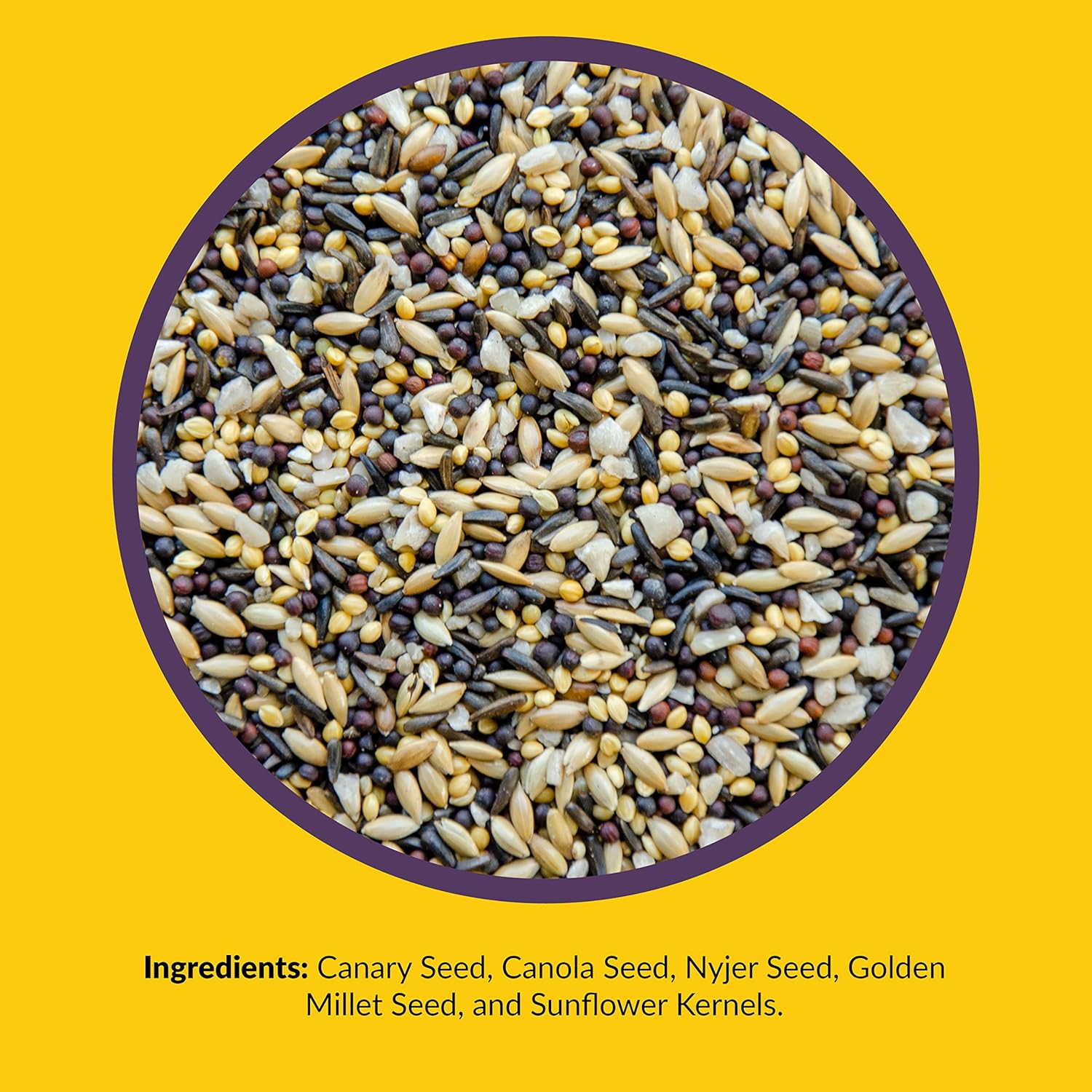 Lyric Finch - Small Songbird Wild Bird Seed - Attracts Goldfinches, House Finches, Purple Finches & More - 20 lb. bag7