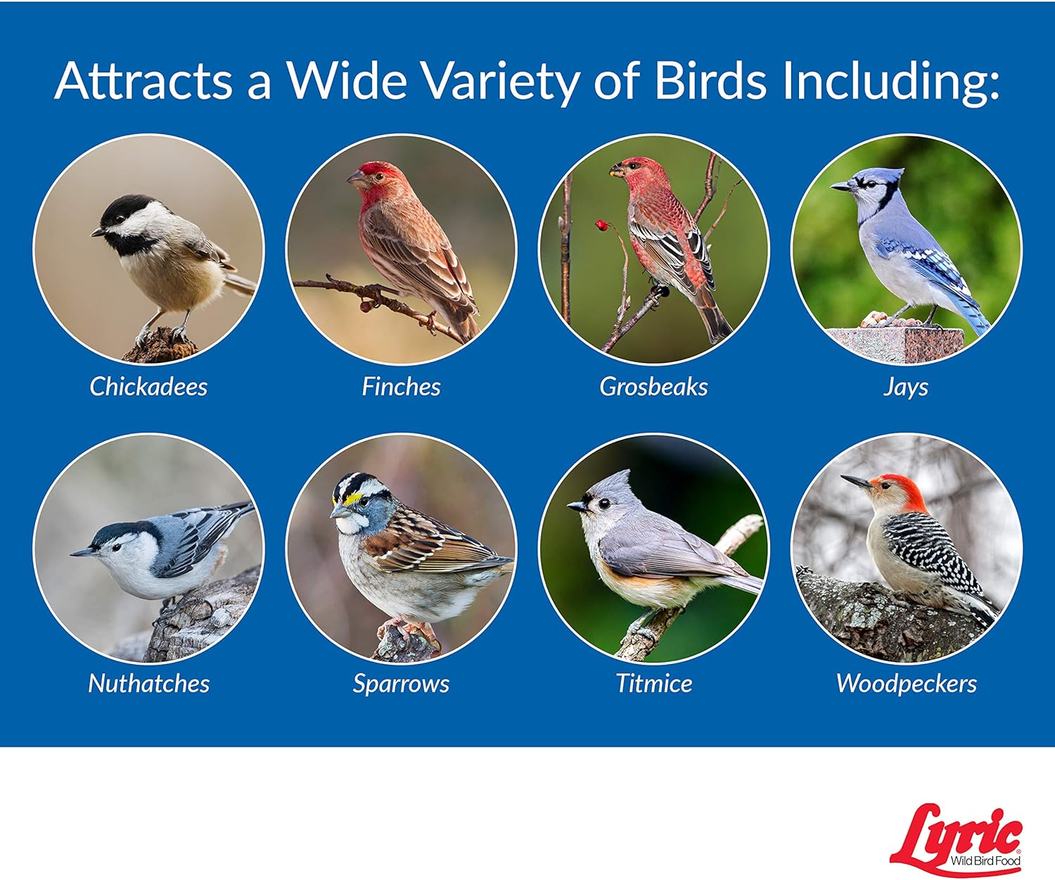 Lyric Wild Bird Mix Bird Seed, Bird Food for Outside Feeders, 40 lb. Bag7
