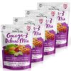 Nature's Garden Omega-3 Deluxe Mix - Power Up Omega Deluxe Trail Mix, Heart Healthy, Gluten Free, Antioxidant Rich, Cholesterol Free, Sodium Free, No Artificial Ingredients – 26 Oz Bag (Pack of 4)