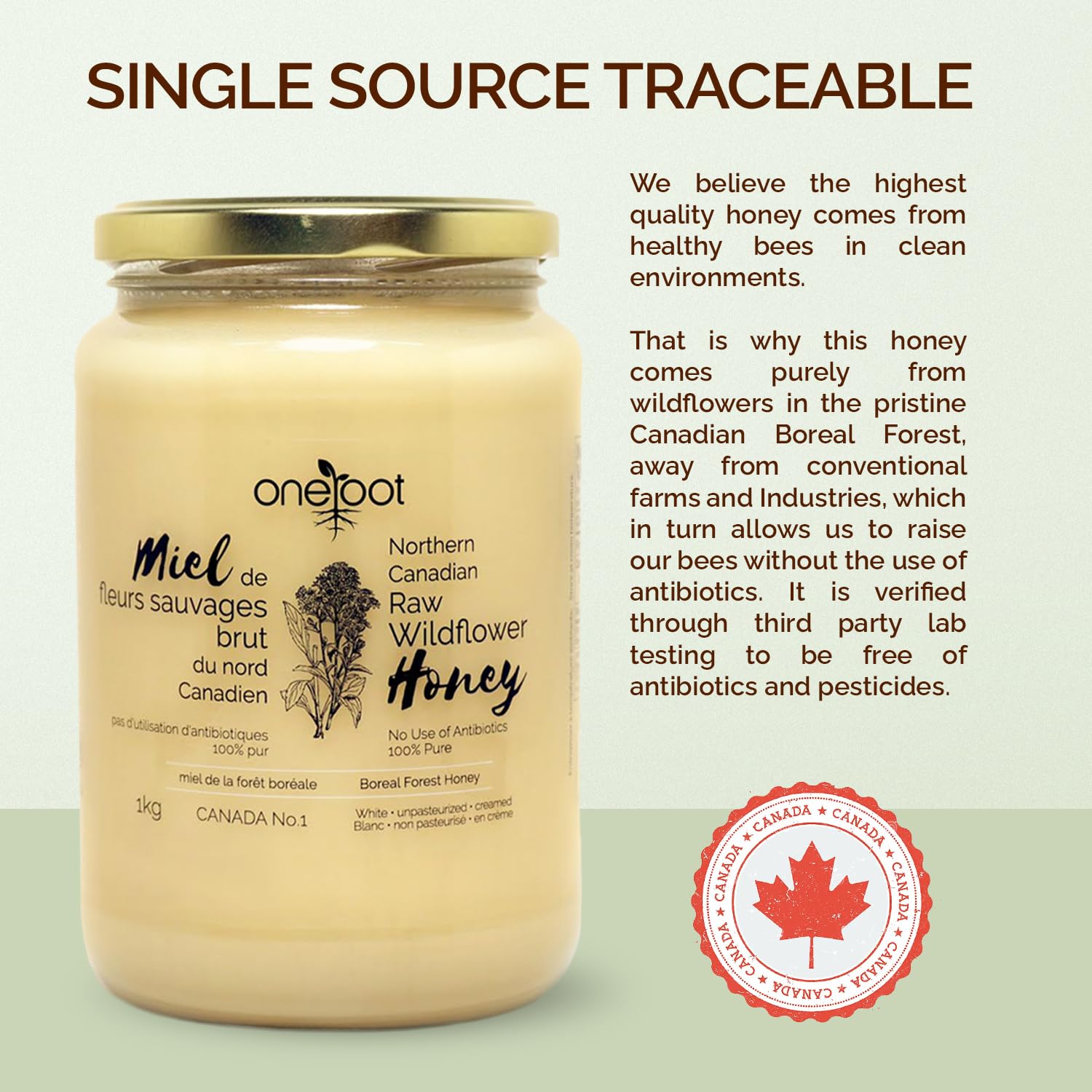 Oneroot 100% Canadian Flower Honey - 1kg 2.2lbs, Honey Wildflower Unfiltered, Unheated & Creamed, Nutrient Rich Raw Wildflower Honey With Enzymes, Thick Natural Sweetener6