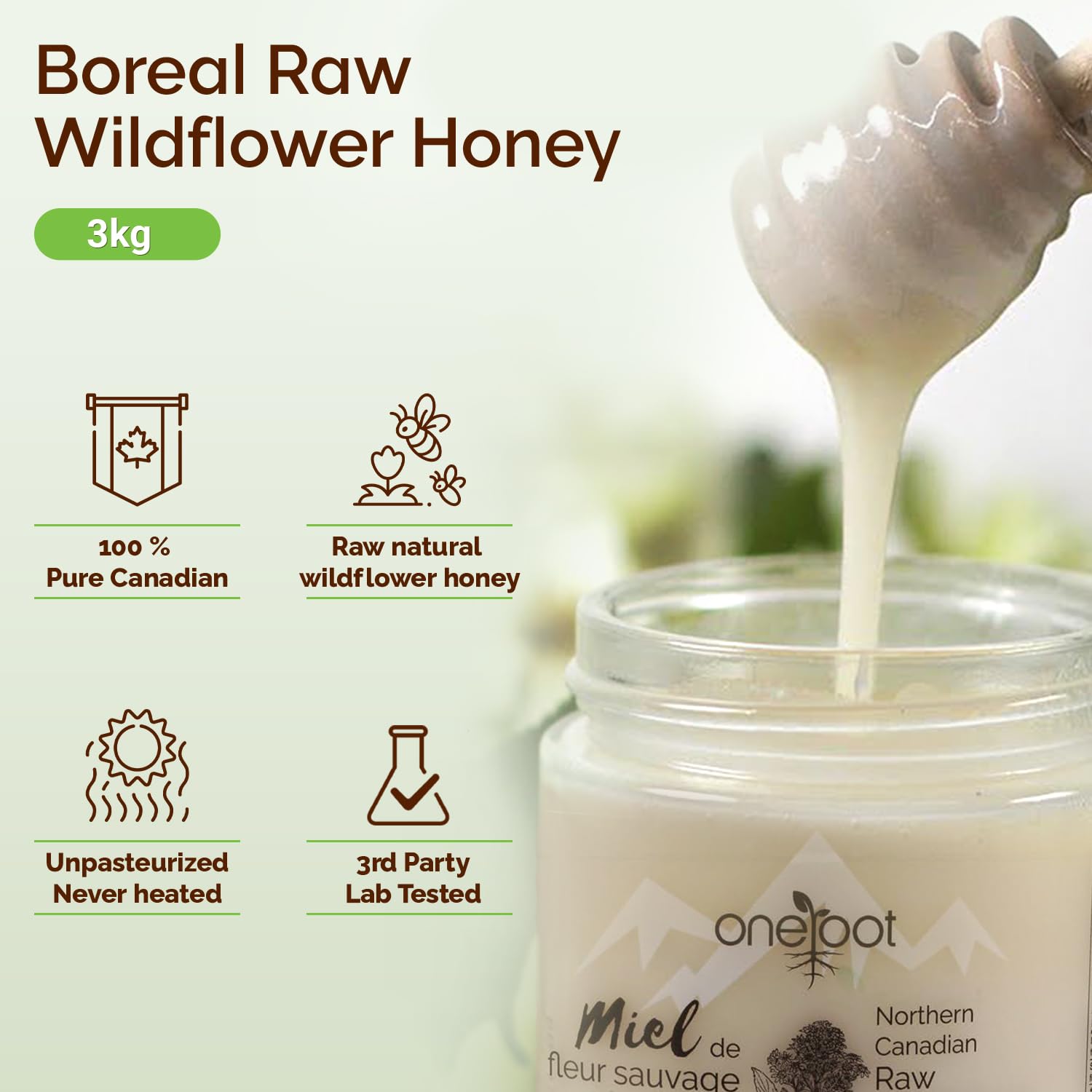 Oneroot 100% Canadian Flower Honey - Honey Wildflower Unfiltered, Unheated & Creamed, Nutrient Rich Raw Wildflower Honey With Enzymes, Thick Natural Sweetener (6.6 Pound)1