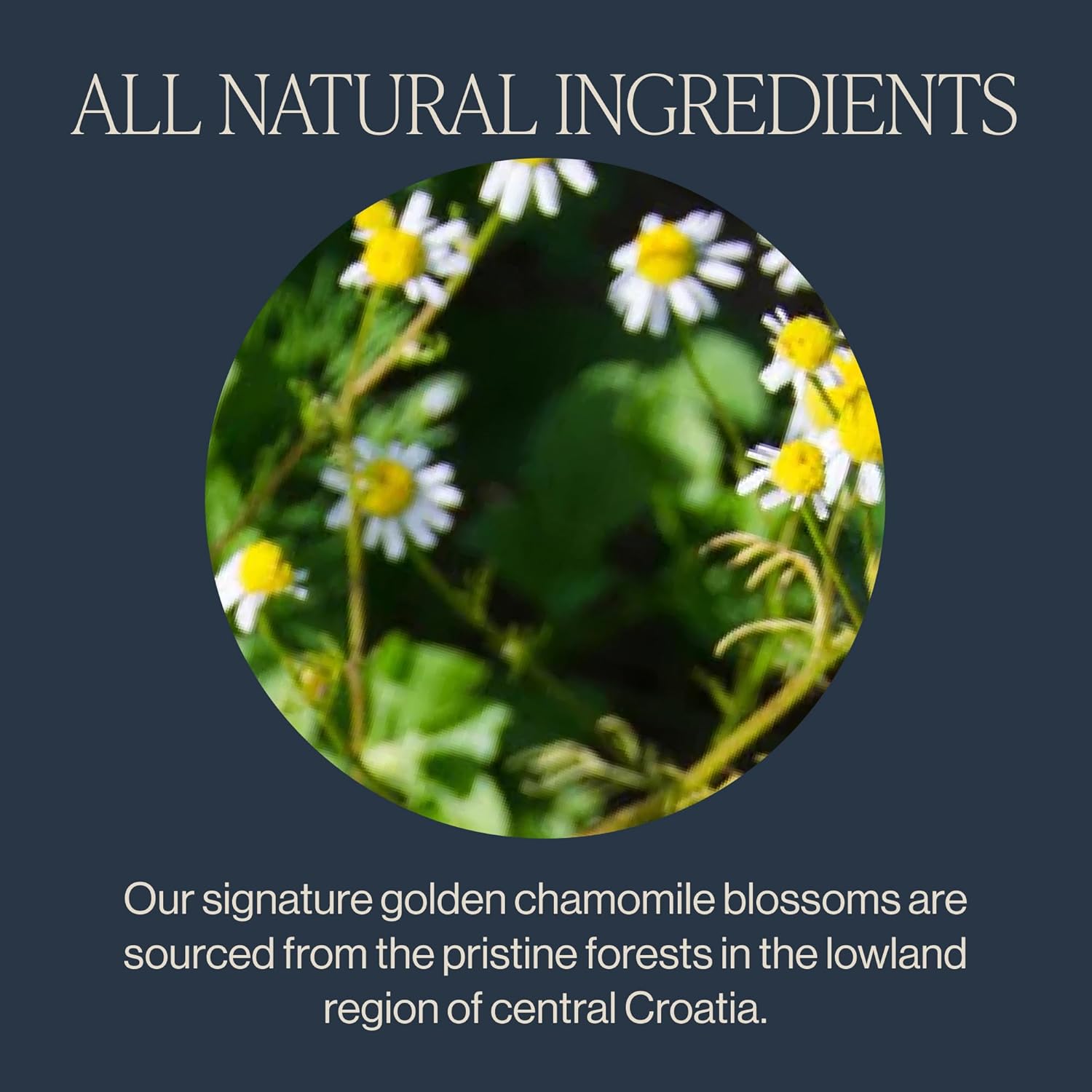 Rishi Tea Chamomile Medley Herbal Tea - Organic, Caffeine Free Sachet Tea Bags, Sleep Friendly Calming Chamomile Flowers with Lemon Verbena & Mint - 15 Count (Pack of 6)2