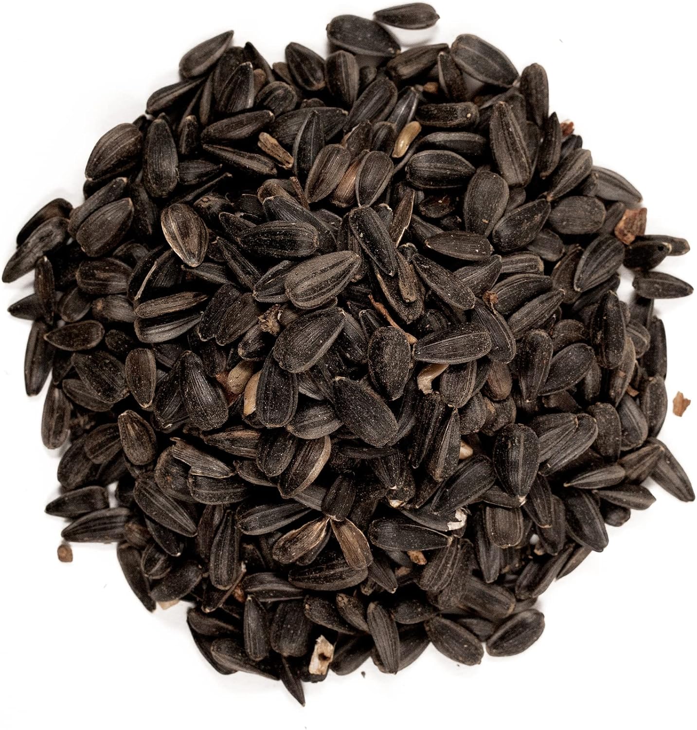 Shafer Seed 51041 40-Pound Bag, Black Oil Sunflower Wild Bird Food3