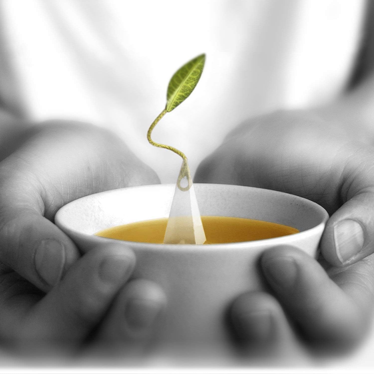 Tea Forte Green Mango Peach Green Tea Event Box, Bulk Pack of 40 Pyramid Infuser Tea Sachets for All Occasions9