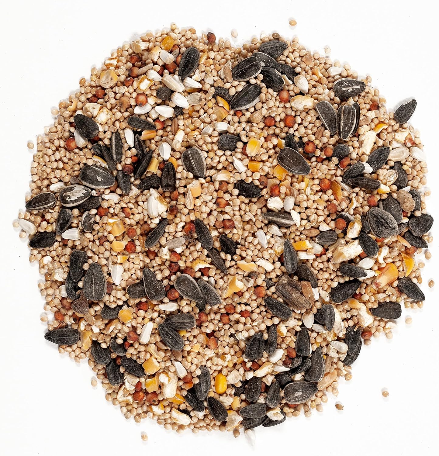Wagner's 62004 Eastern Regional Wild Bird Food, 20-Pound Bag 3