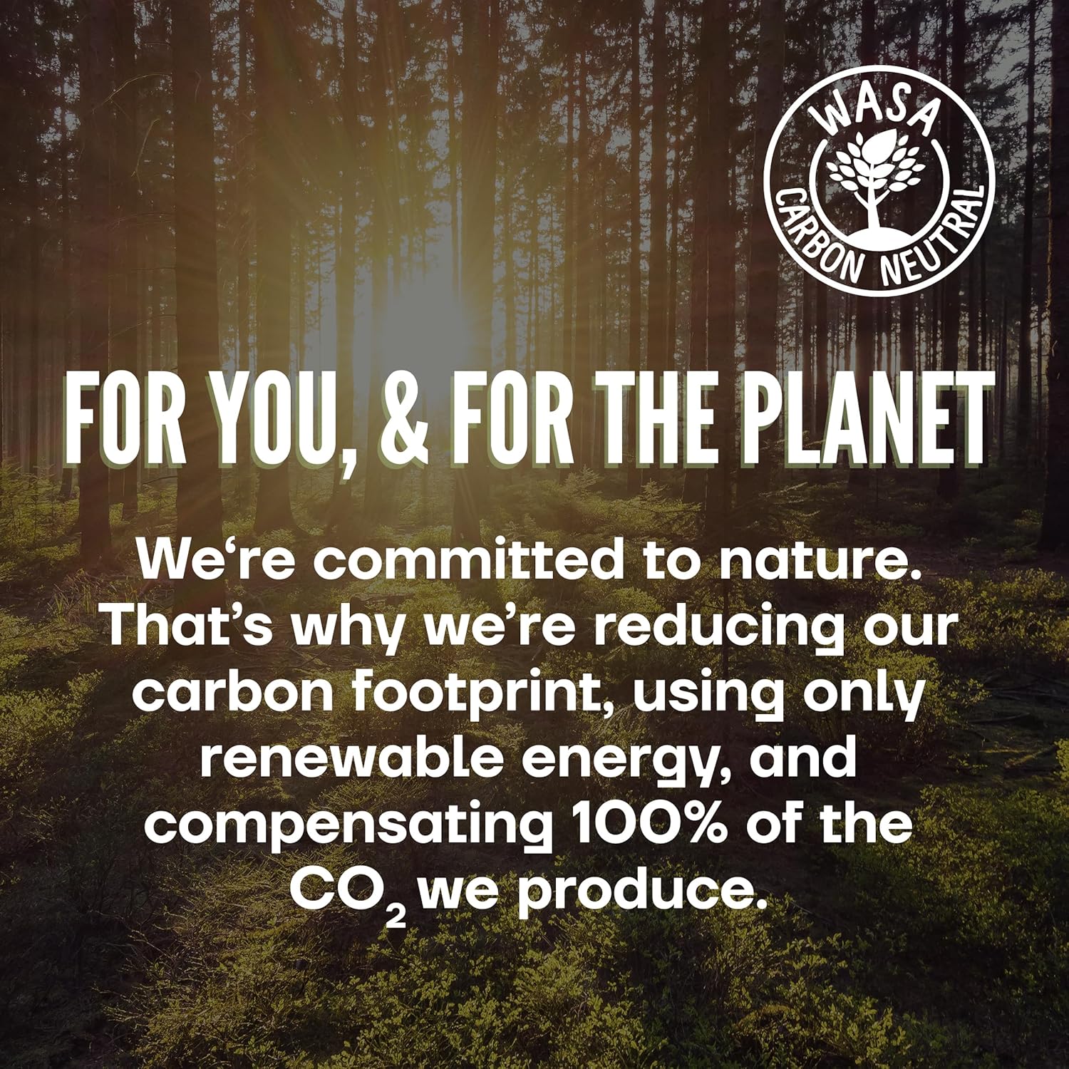 Wasa Multi Grain Crispbread, 9.7 oz (Pack of 12), Multigrain Crackers, Non-GMO Ingredients, Fat Free7