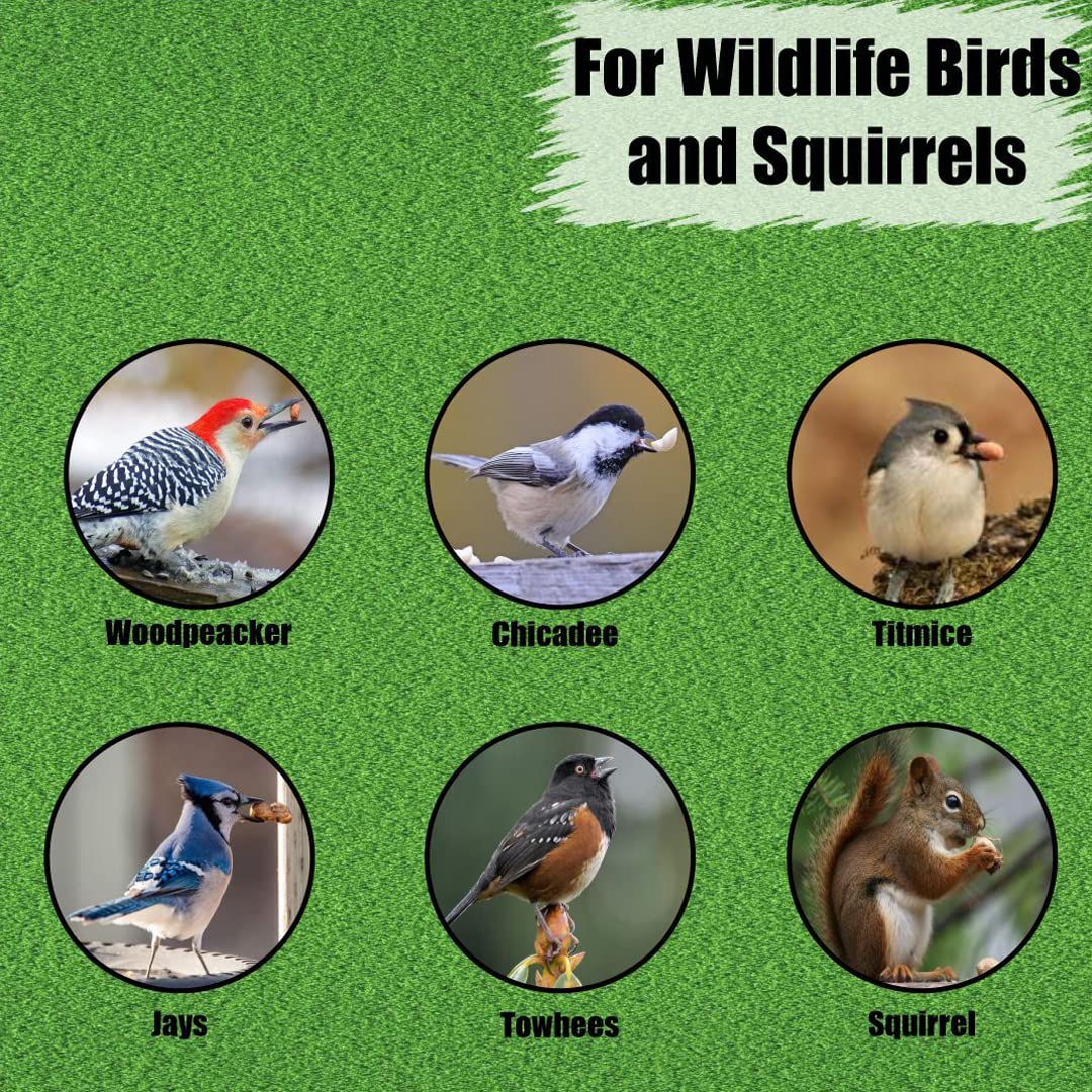 Wildlife in-Shell Peanuts, 25 lbs for Birds, Squirrels, and Wildlife. USA Grown Non-GMO, Organic Small Farm, Raw in-Shell Peanuts. Wildlife Grade, 25 lbs.11