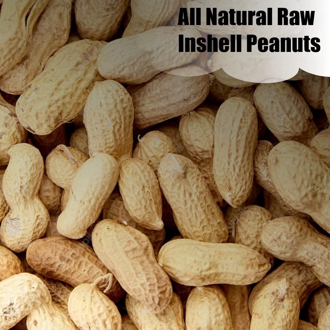 Wildlife in-Shell Peanuts, 25 lbs for Birds, Squirrels, and Wildlife. USA Grown Non-GMO, Organic Small Farm, Raw in-Shell Peanuts. Wildlife Grade, 25 lbs.2