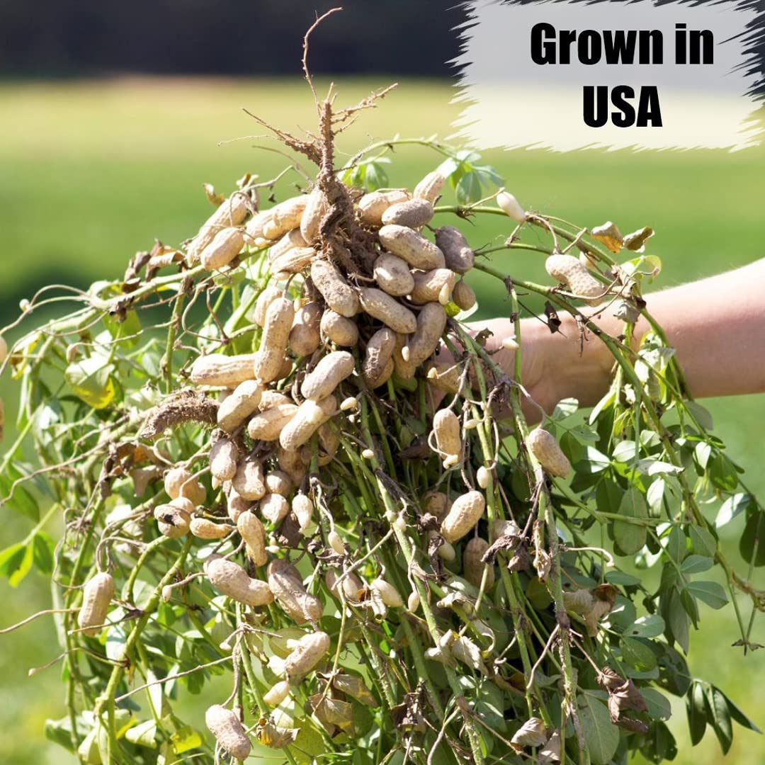 Wildlife in-Shell Peanuts, 25 lbs for Birds, Squirrels, and Wildlife. USA Grown Non-GMO, Organic Small Farm, Raw in-Shell Peanuts. Wildlife Grade, 25 lbs.3