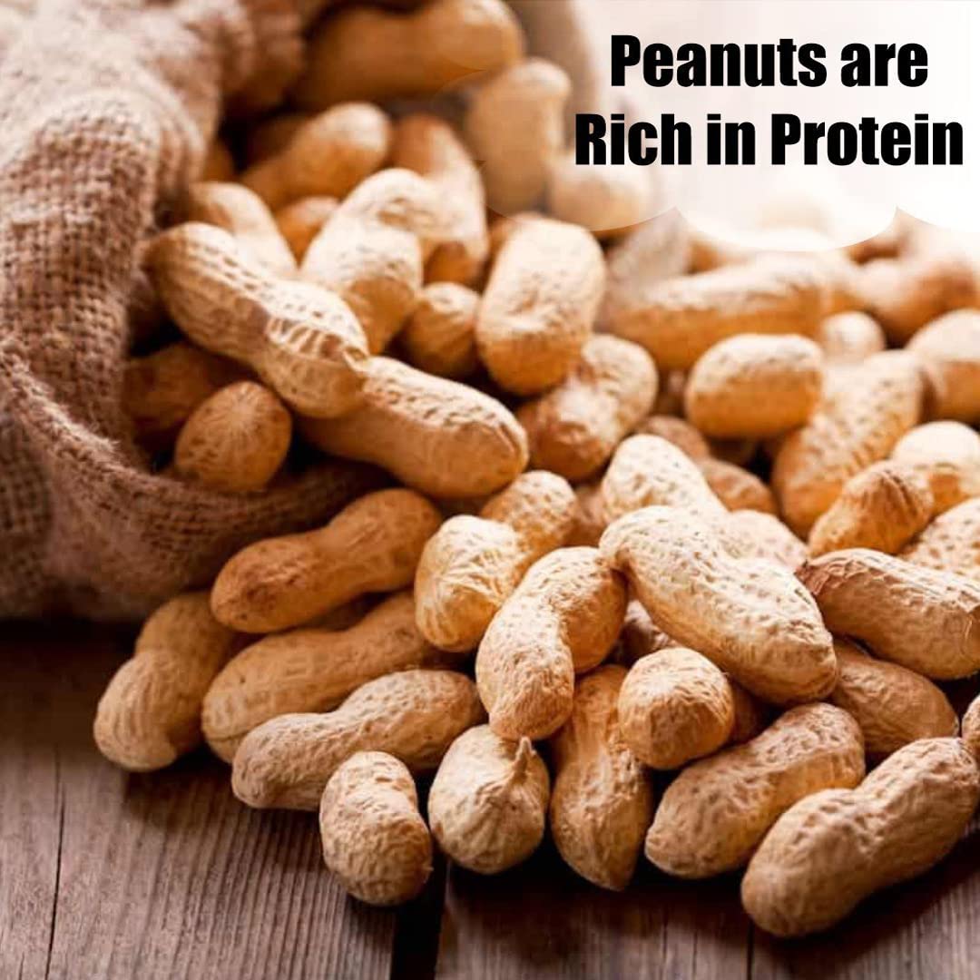 Wildlife in-Shell Peanuts, 25 lbs for Birds, Squirrels, and Wildlife. USA Grown Non-GMO, Organic Small Farm, Raw in-Shell Peanuts. Wildlife Grade, 25 lbs.8