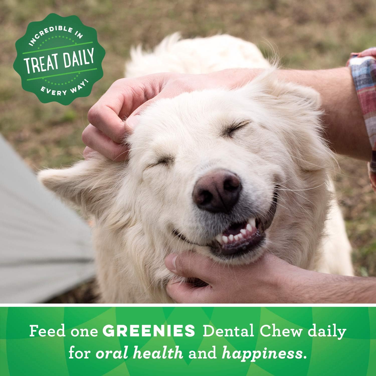 GREENIES Original TEENIE Natural Dog Dental Care Chews Oral Health Dog Treats, 72 oz. Pack (260 Treats)9