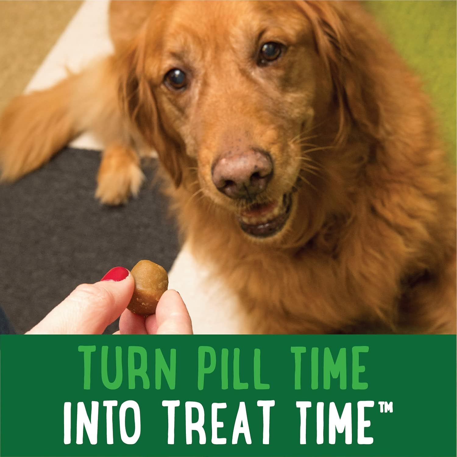 Greenies Pill Pockets for Dogs Capsule Size Natural Soft Dog Treats with Real Peanut Butter, (6) 7.9 oz. Packs (180 Treats)11