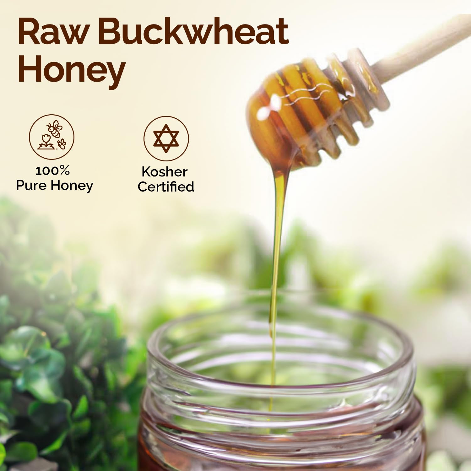 OneRoot Raw Buckwheat Honey - 3kg 6.6lb, Unheated, Unfiltered and Unprocessed Natural Dark Honey, Rich in Antioxidants Pure Buckwheat Honey1