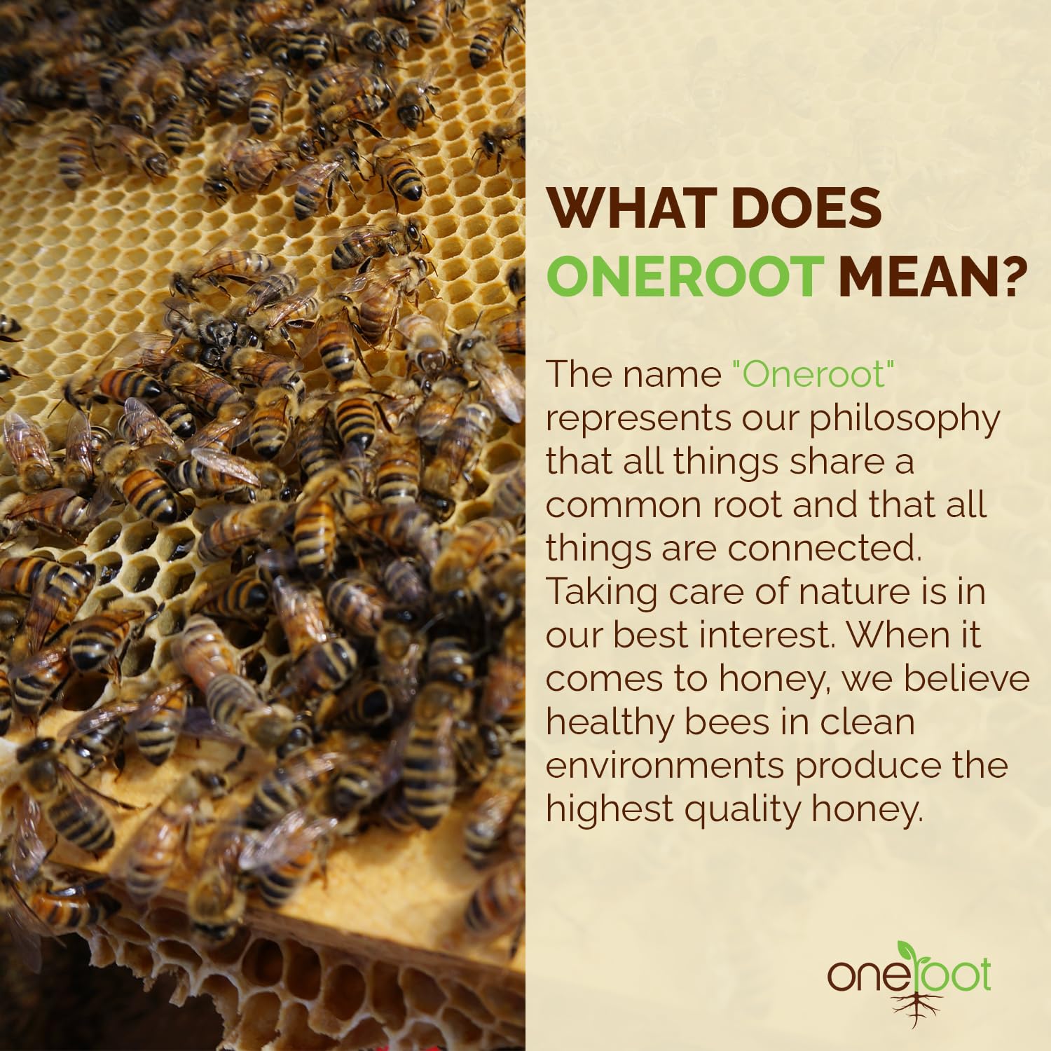 OneRoot Raw Buckwheat Honey - 3kg 6.6lb, Unheated, Unfiltered and Unprocessed Natural Dark Honey, Rich in Antioxidants Pure Buckwheat Honey7