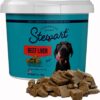 Stewart Single Ingredient Freeze Dried Raw Dog Treats, Beef Liver, 21 Ounce Resealable Tub, Training Treats or Meal Topper Dogs, High Protein, Grain Free, Gluten Free