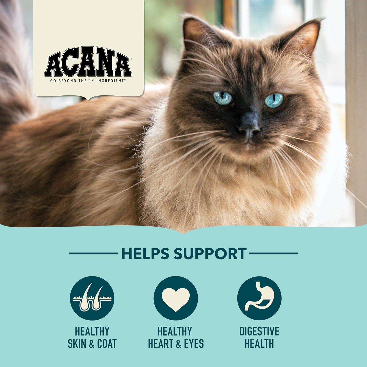ACANA Bountiful Catch Dry Cat Food for Adult Cats, Salmon and Whole Herring Recipe, Fish Cat Food, 10lb3