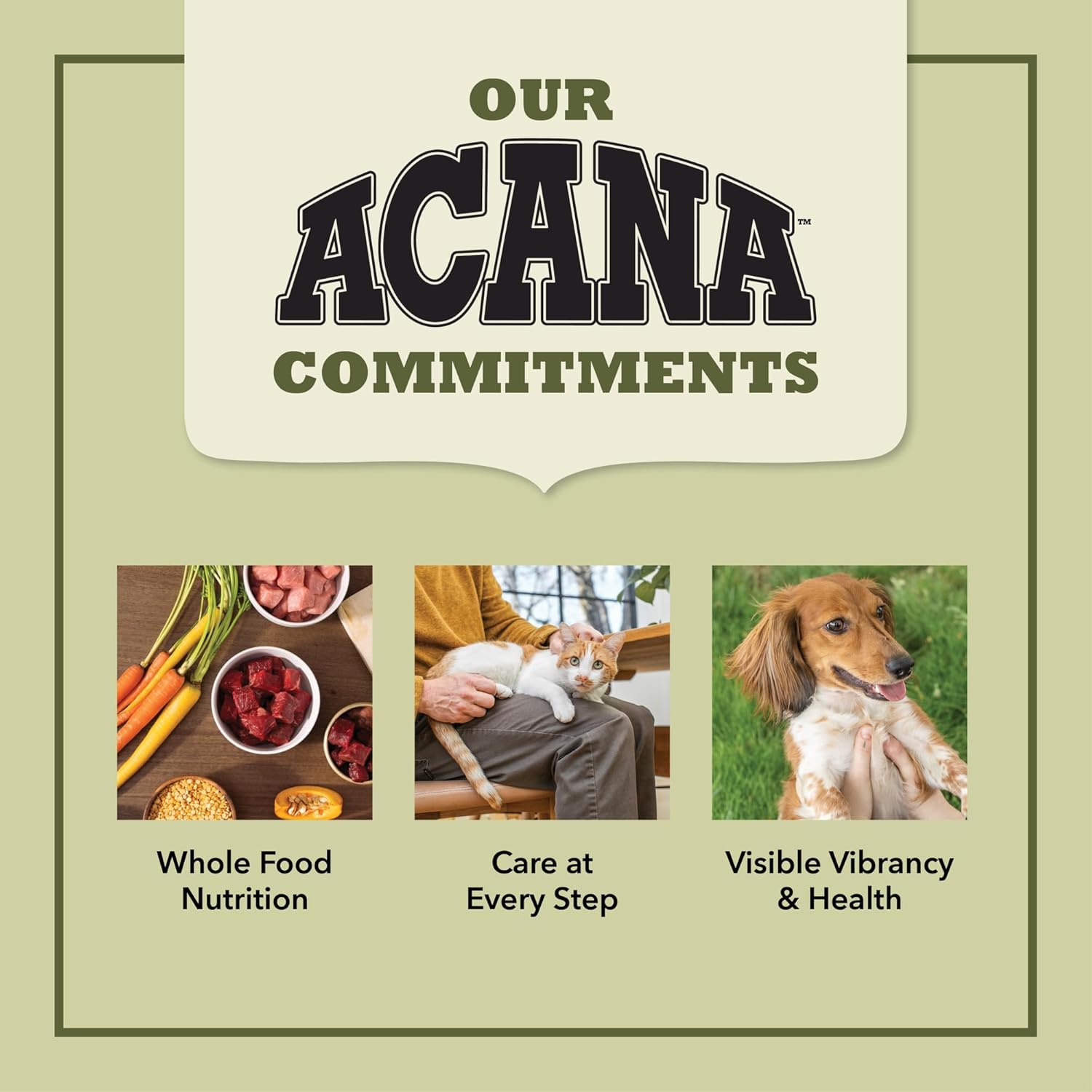 ACANA Senior Entree Dry Cat Food for Senior Cats (7+ Years), Free Run Chicken and Turkey Recipe, 10lb0