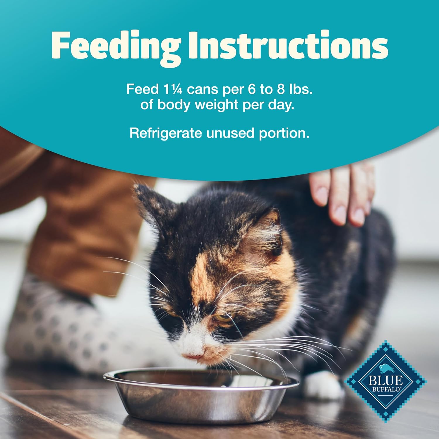 Blue Buffalo Freedom Grain-Free Adult Wet Cat Food, Complete & Balanced Nutrition for Indoor Cats, Made with Natural Ingredients, Fish Recipe, 5.5-oz Cans (24 Count)11