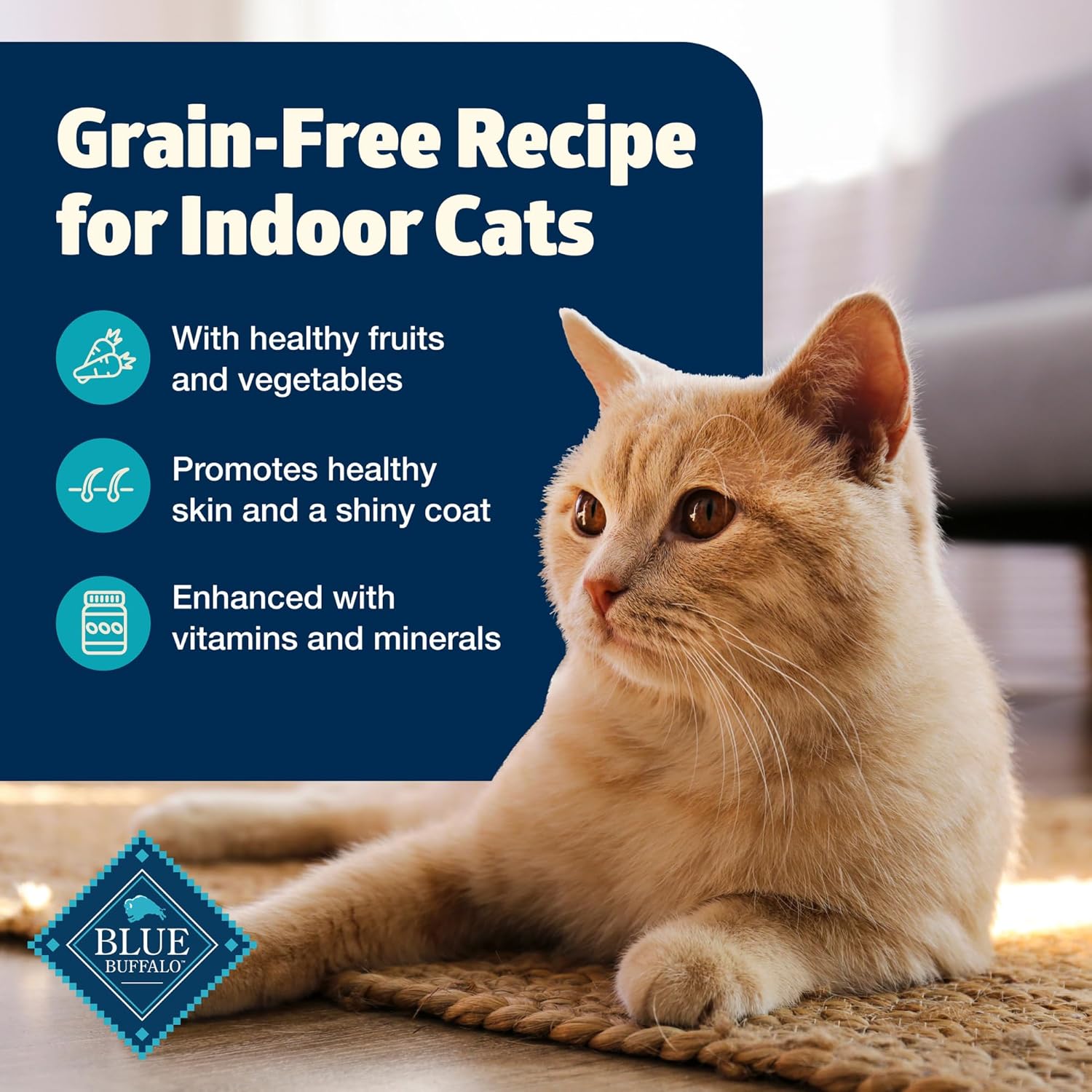 Blue Buffalo Freedom Grain-Free Adult Wet Cat Food, Complete & Balanced Nutrition for Indoor Cats, Made with Natural Ingredients, Fish Recipe, 5.5-oz Cans (24 Count)5