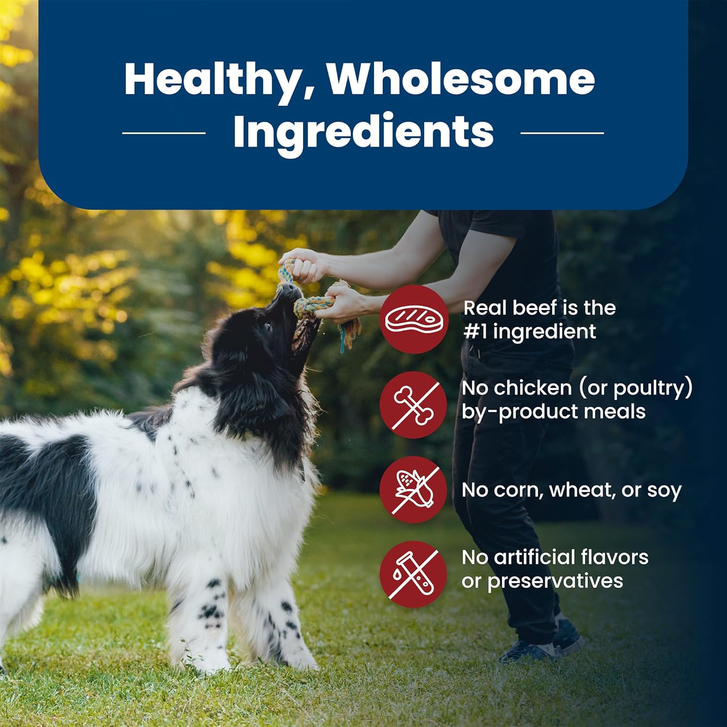 Blue Buffalo Life Protection Formula Adult Dry Dog Food, Helps Build and Maintain Strong Muscles, Made with Natural Ingredients, Beef & Brown Rice Recipe, 30-lb Bag7