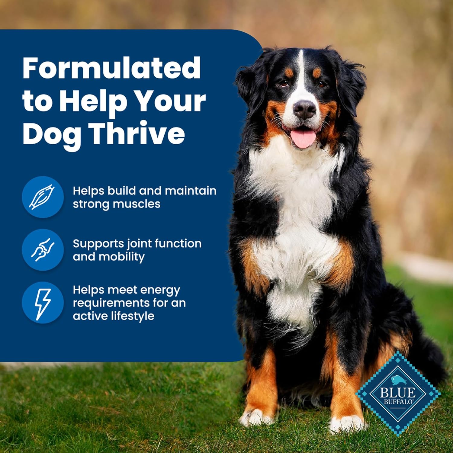 Blue Buffalo Life Protection Formula Adult Dry Dog Food, Helps Build and Maintain Strong Muscles, Made with Natural Ingredients, Chicken & Brown Rice Recipe, 15-lb. Bag3