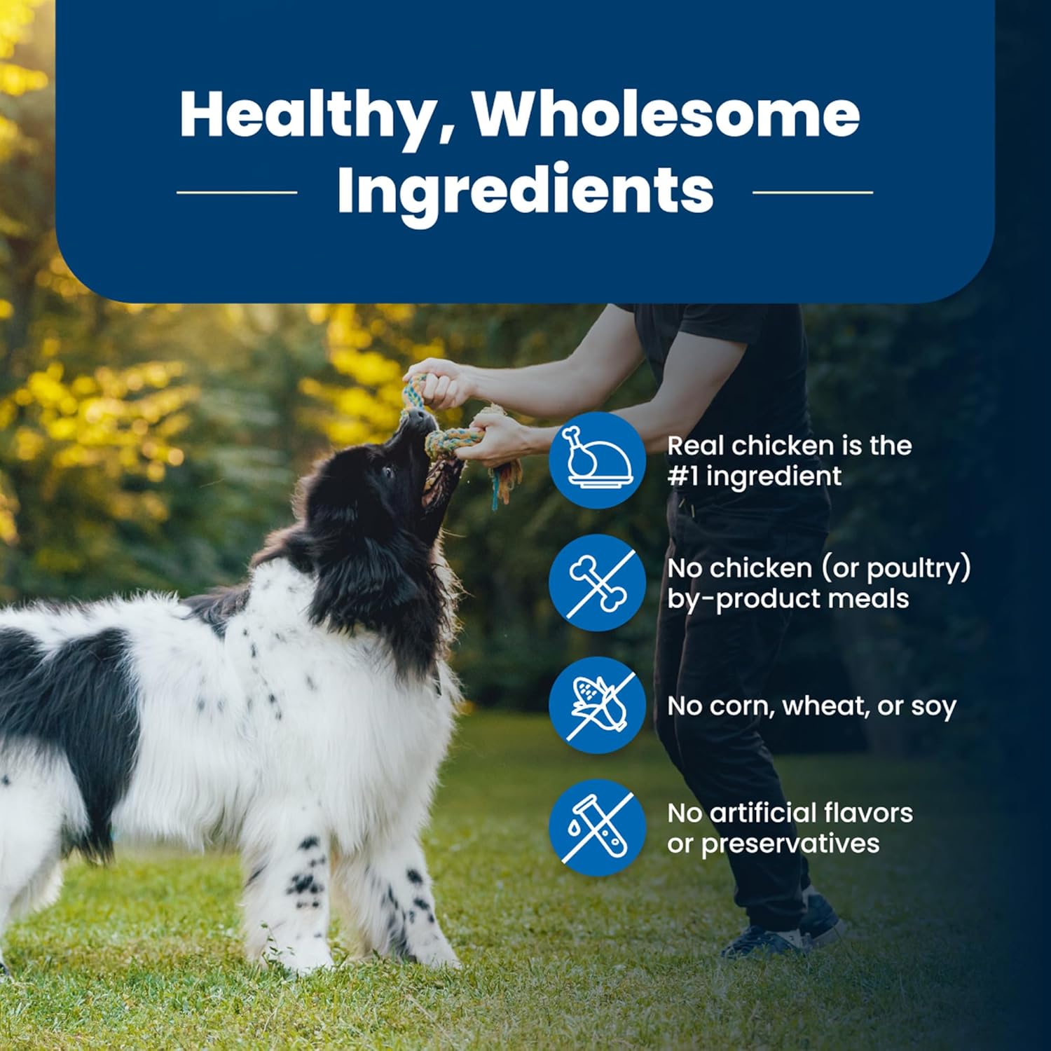 Blue Buffalo Life Protection Formula Adult Dry Dog Food, Helps Build and Maintain Strong Muscles, Made with Natural Ingredients, Chicken & Brown Rice Recipe, 15-lb. Bag8