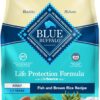 Blue Buffalo Life Protection Formula Adult Dry Dog Food, Helps Build and Maintain Strong Muscles, Made with Natural Ingredients, Fish & Brown Rice Recipe, 15-lb Bag