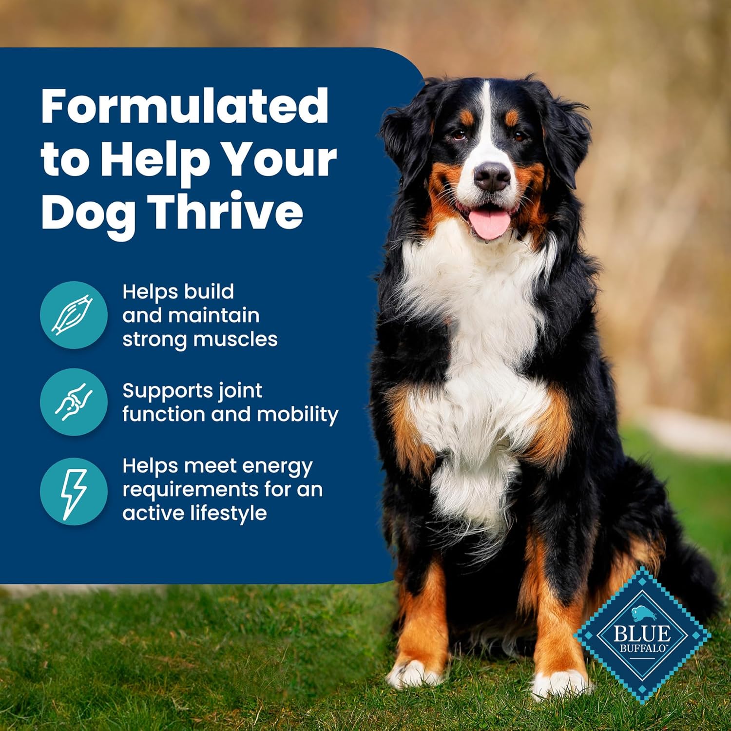 Blue Buffalo Life Protection Formula Adult Dry Dog Food, Helps Build and Maintain Strong Muscles, Made with Natural Ingredients, Fish & Brown Rice Recipe, 15-lb Bag4