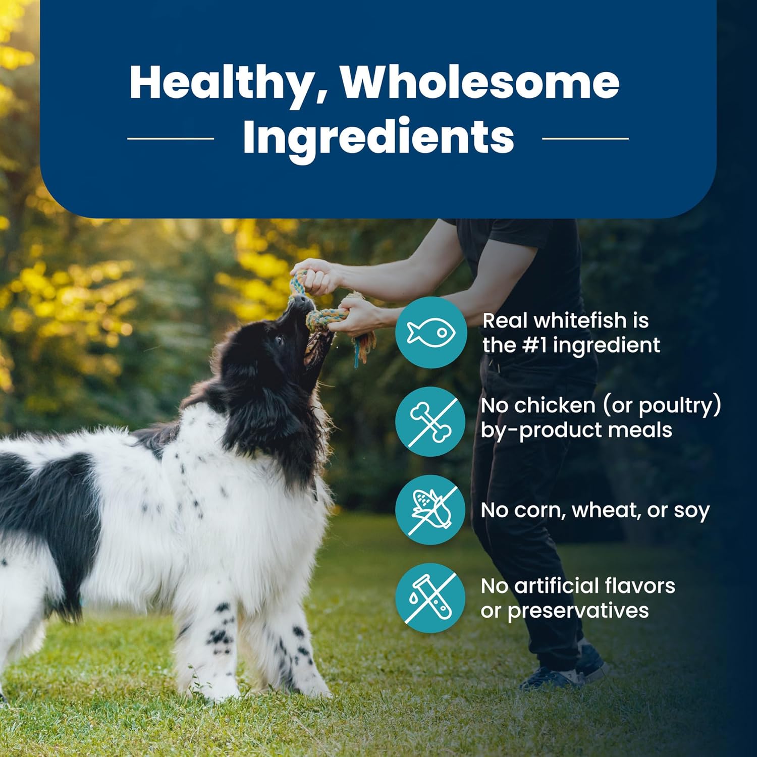 Blue Buffalo Life Protection Formula Adult Dry Dog Food, Helps Build and Maintain Strong Muscles, Made with Natural Ingredients, Fish & Brown Rice Recipe, 15-lb Bag7