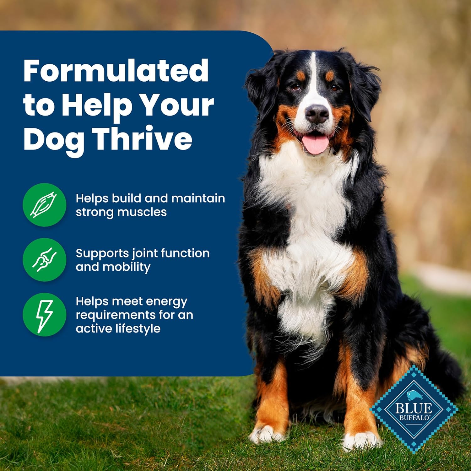Blue Buffalo Life Protection Formula Adult Dry Dog Food, Helps Build and Maintain Strong Muscles, Made with Natural Ingredients, Lamb & Brown Rice Recipe, 34-lb. Bag2
