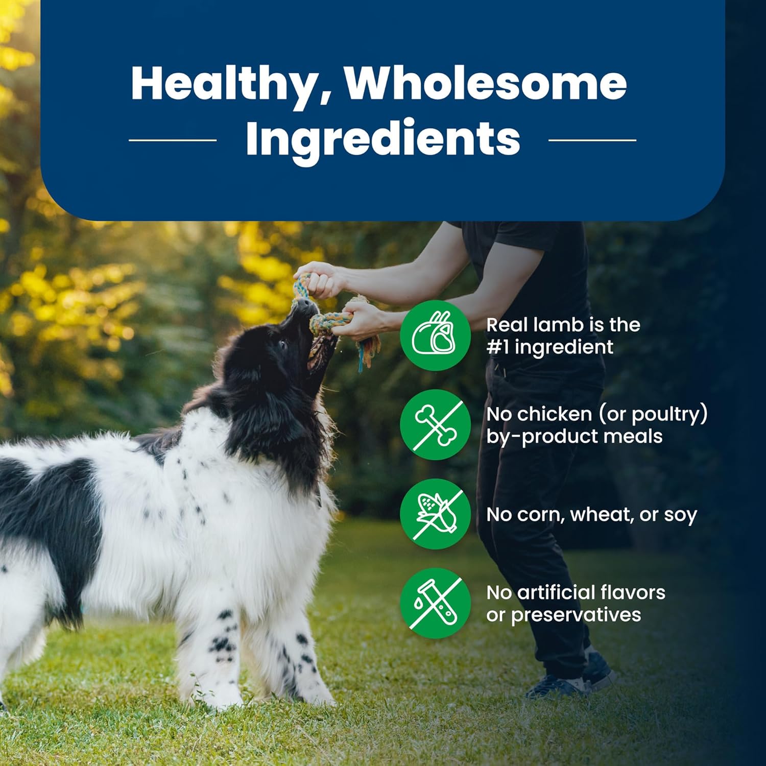 Blue Buffalo Life Protection Formula Adult Dry Dog Food, Helps Build and Maintain Strong Muscles, Made with Natural Ingredients, Lamb & Brown Rice Recipe, 34-lb. Bag8