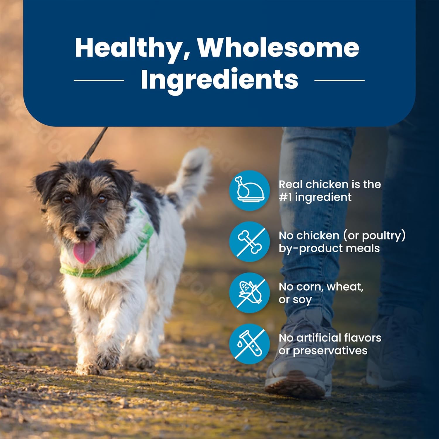 Blue Buffalo Life Protection Formula Adult Small Bite Dry Dog Food, Helps Build and Maintain Strong Muscles, Made with Natural Ingredients, Chicken & Brown Rice Recipe, 15-lb. Bag8