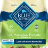 Blue Buffalo Life Protection Formula Adult Small Breed Dry Dog Food, Supports High Energy Needs, Made with Natural Ingredients, Lamb & Brown Rice Recipe, 15-lb Bag