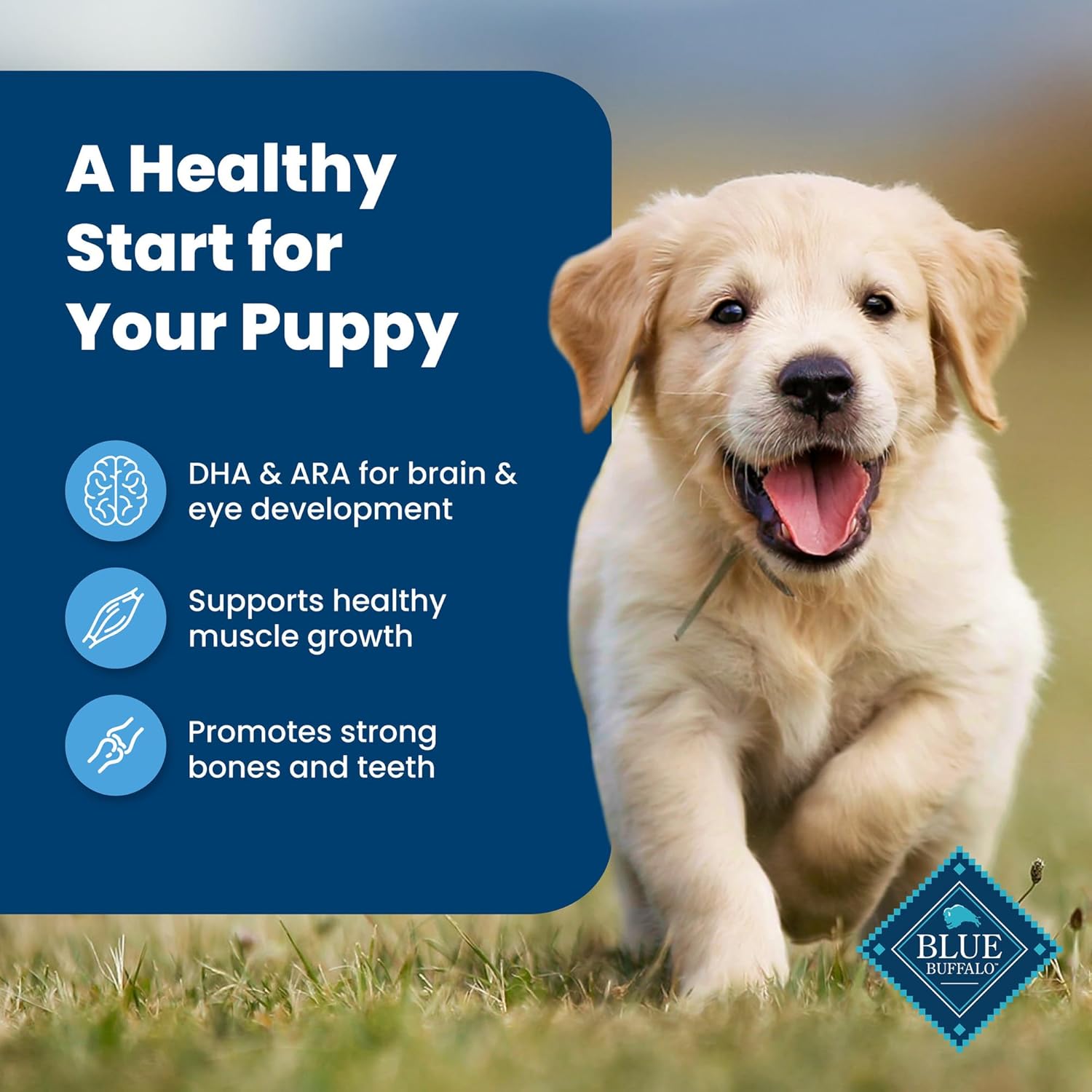 Blue Buffalo Life Protection Formula Puppy Dry Dog Food with DHA and ARA, Made with Natural Ingredients, Chicken & Brown Rice Recipe, 34-lb Bag4