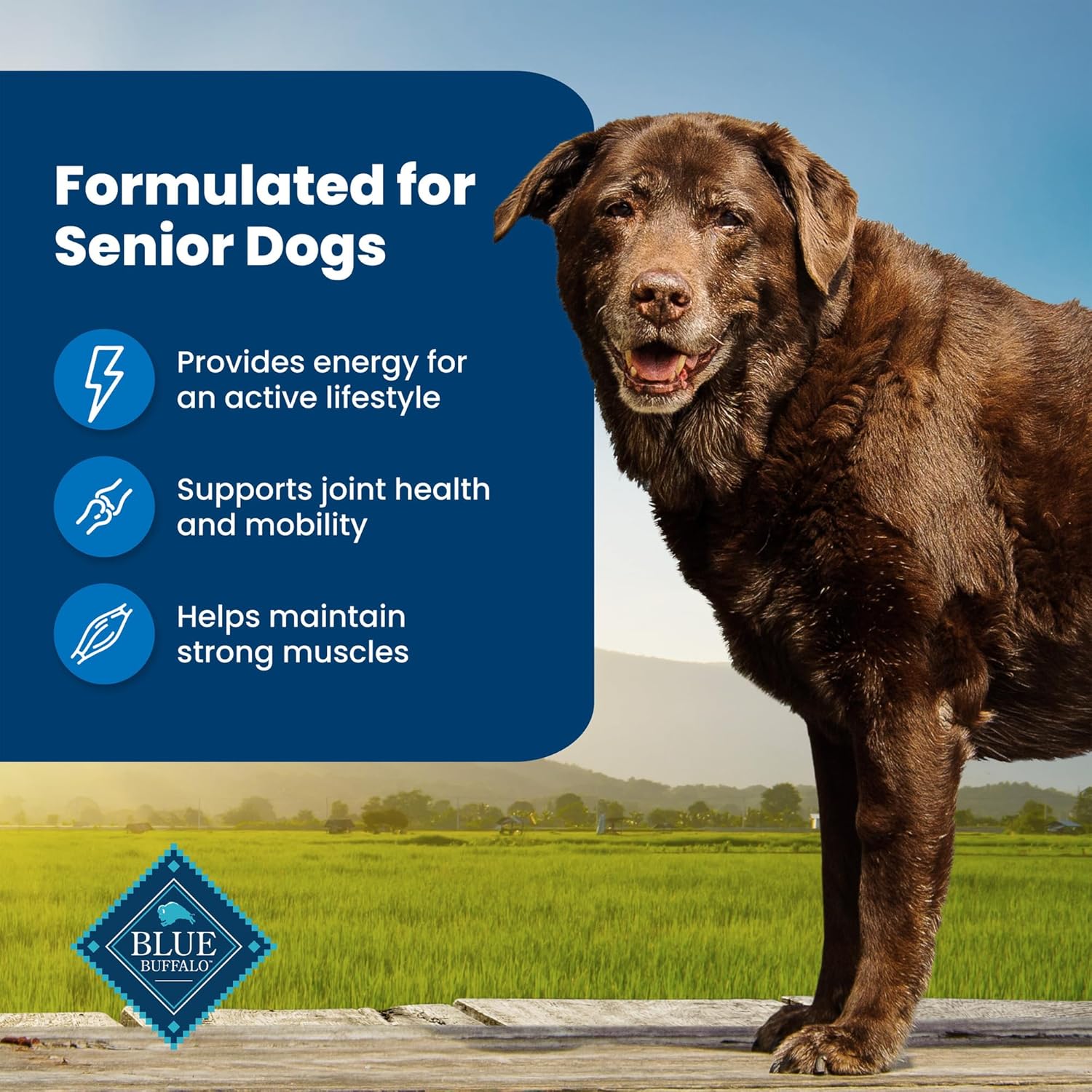 Blue Buffalo Life Protection Formula Senior Dry Dog Food, Supports Joint Health and Mobility, Made with Natural Ingredients, Chicken & Brown Rice Recipe, 34-lb. Bag5