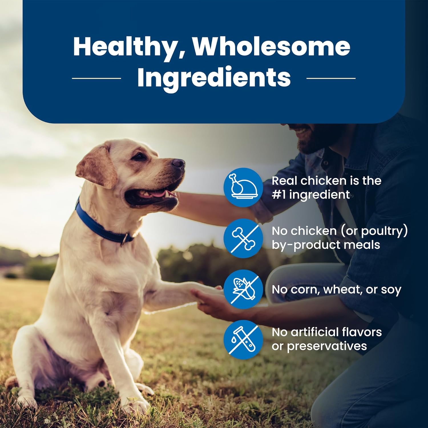 Blue Buffalo Life Protection Formula Senior Dry Dog Food, Supports Joint Health and Mobility, Made with Natural Ingredients, Chicken & Brown Rice Recipe, 34-lb. Bag9