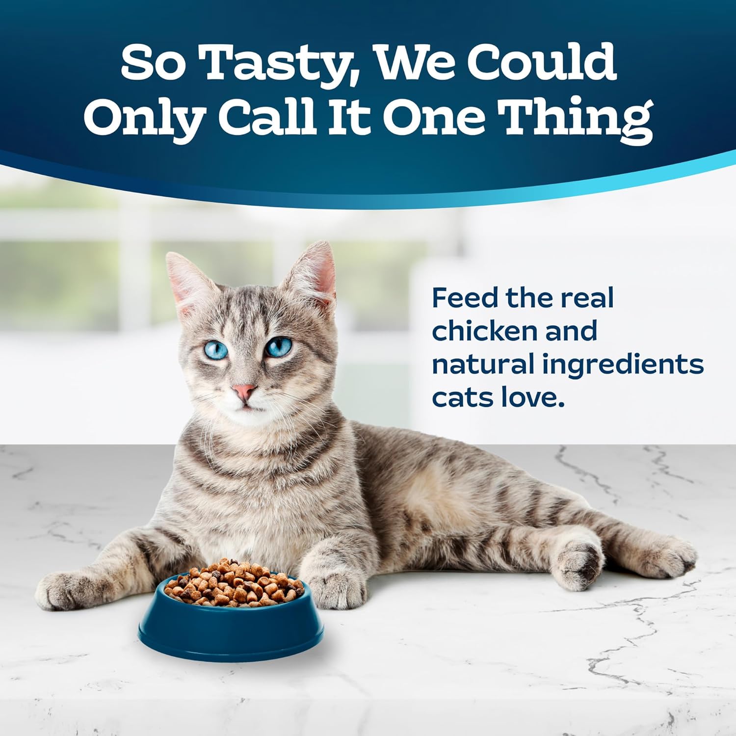 Blue Buffalo Tastefuls Hairball Control Natural Adult Dry Cat Food, Chicken, 15lb bag2