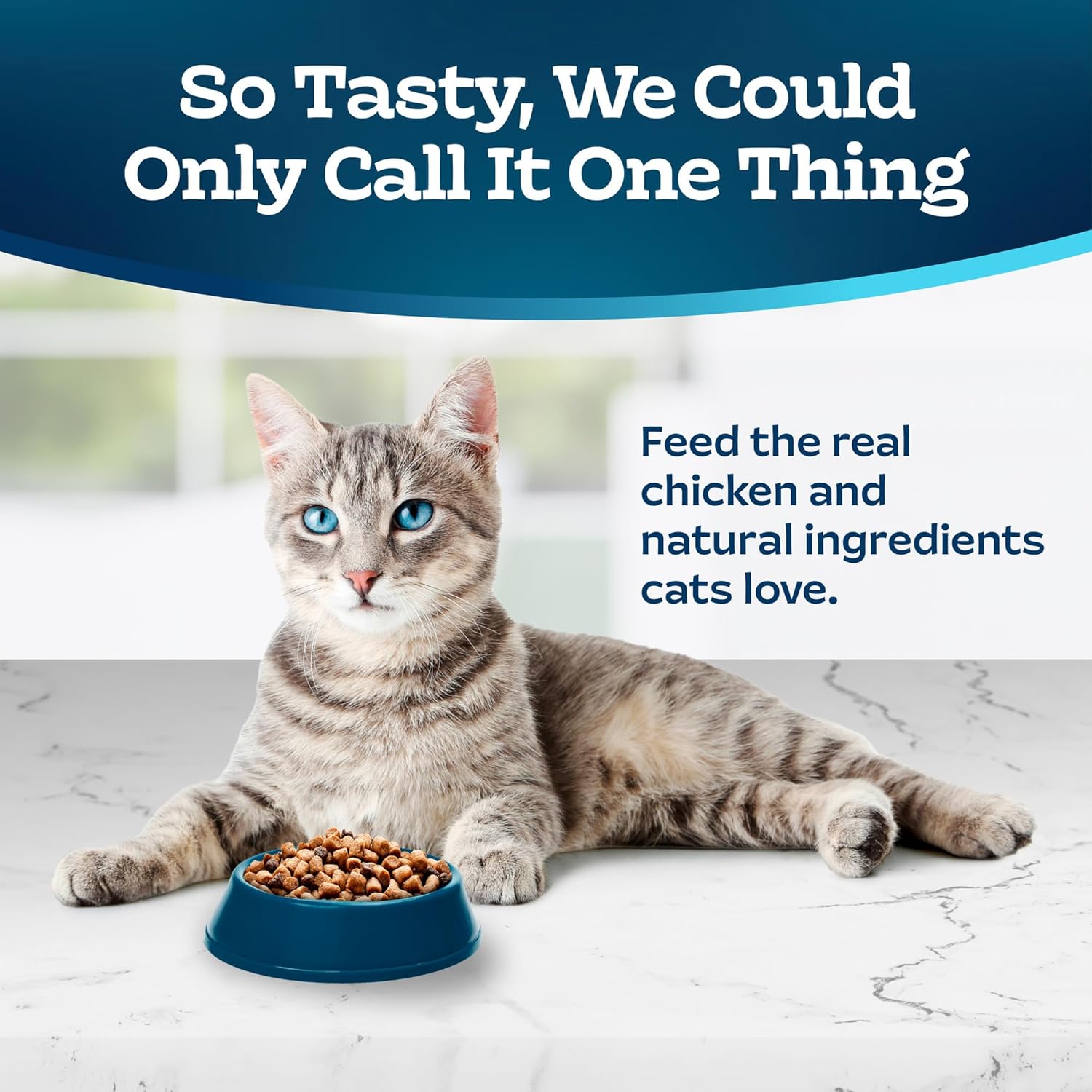 Blue Buffalo Tastefuls Natural Food for Adult Cats, Weight Control, 15-lb. Bag2