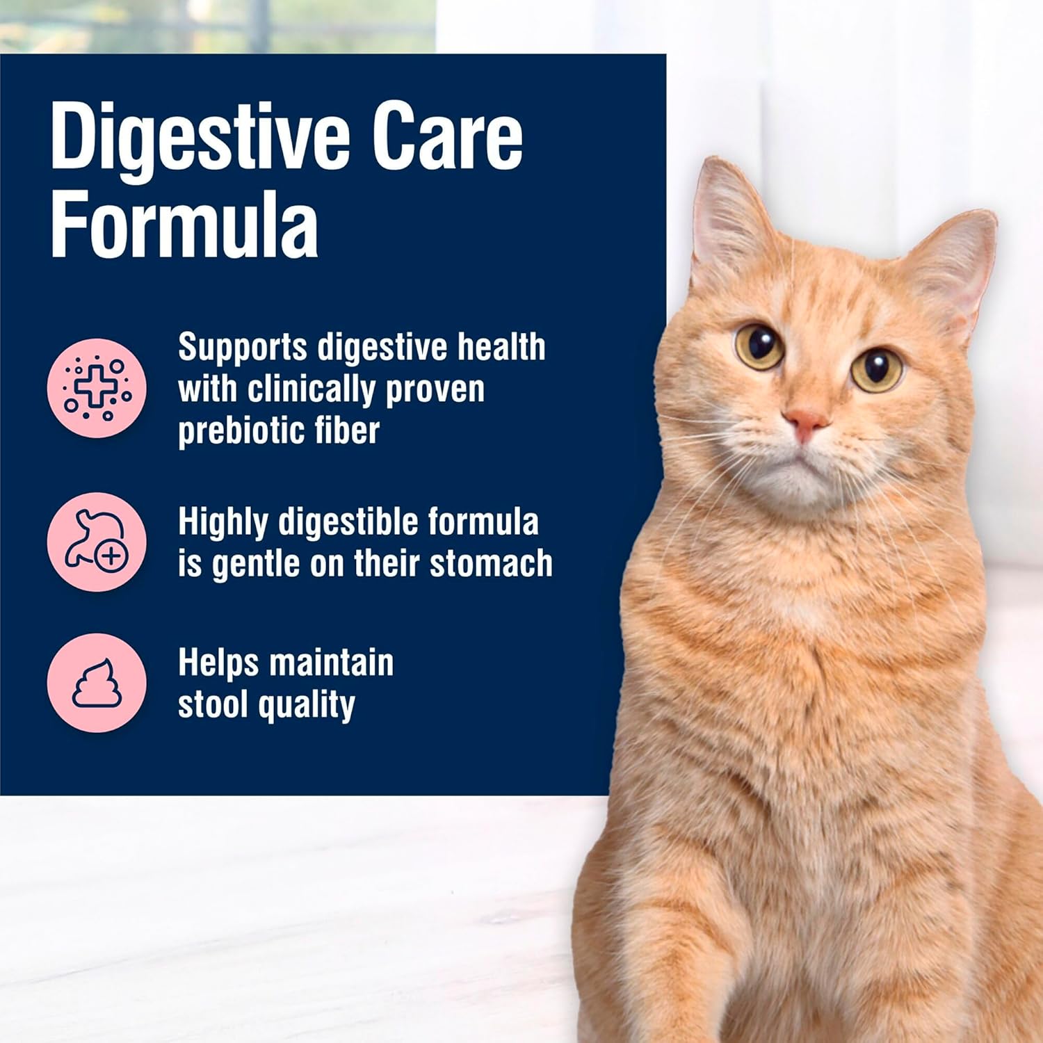 Blue Buffalo True Solutions Digestive Care Natural Dry Cat Food for Adult Cats, Chicken, 11-lb. Bag4