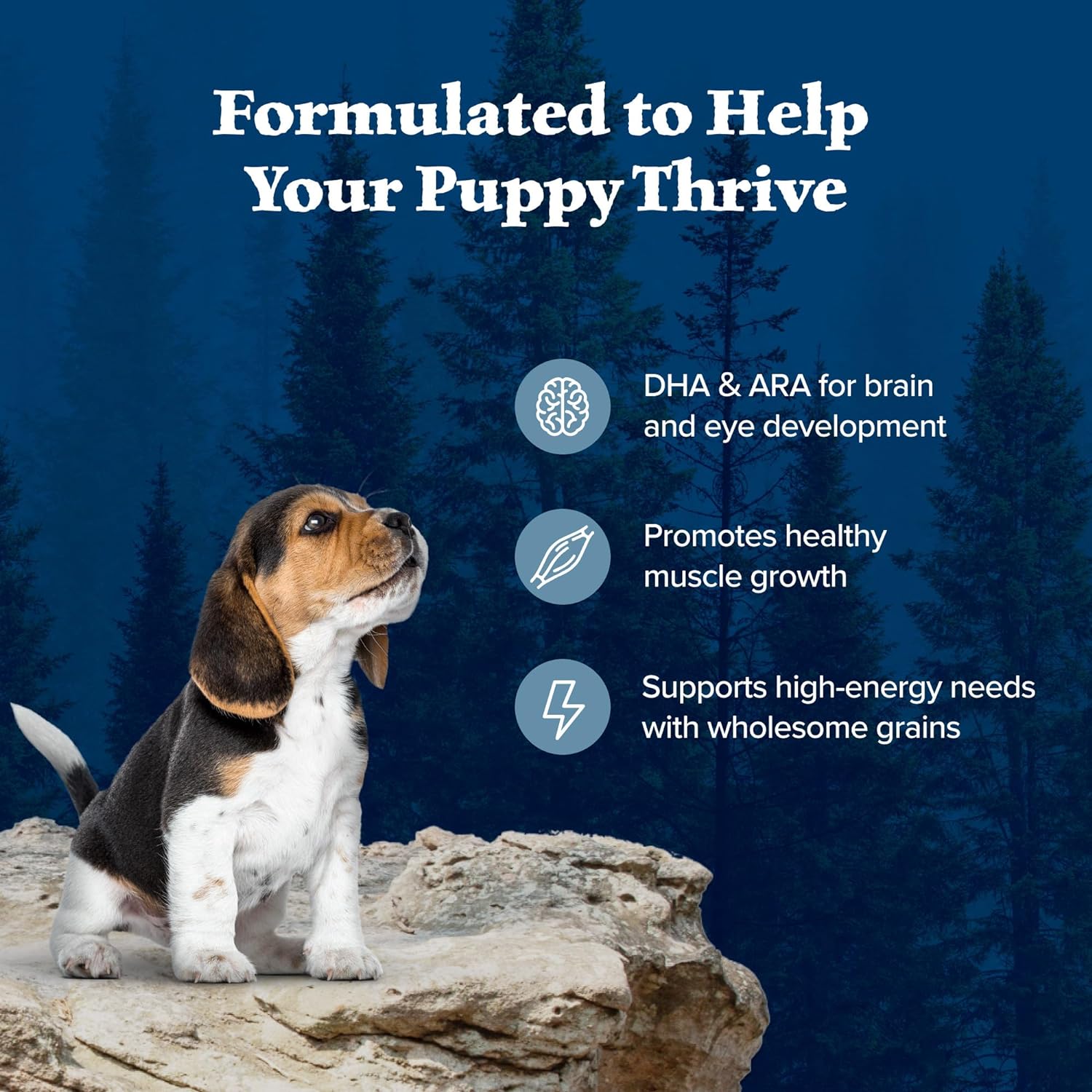 Blue Buffalo Wilderness Puppy High Protein Dry Dog Food With Real Chicken Plus Wholesome Grains, Made in the USA with Natural Ingredients, Chicken, 13-lb. Bag6