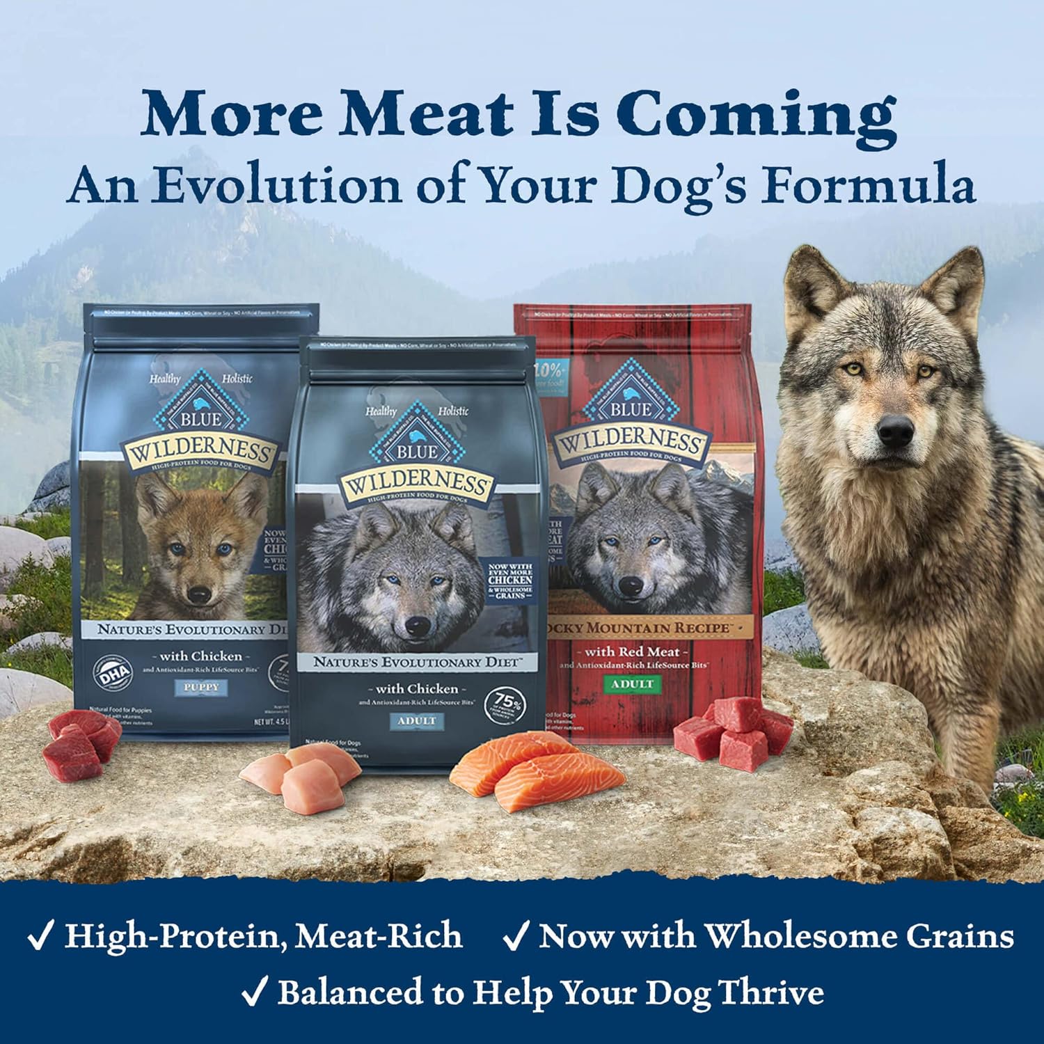 Blue Buffalo Wilderness Rocky Mountain Recipe High Protein, Natural Puppy Dry Dog Food, Red Meat 4-lb1