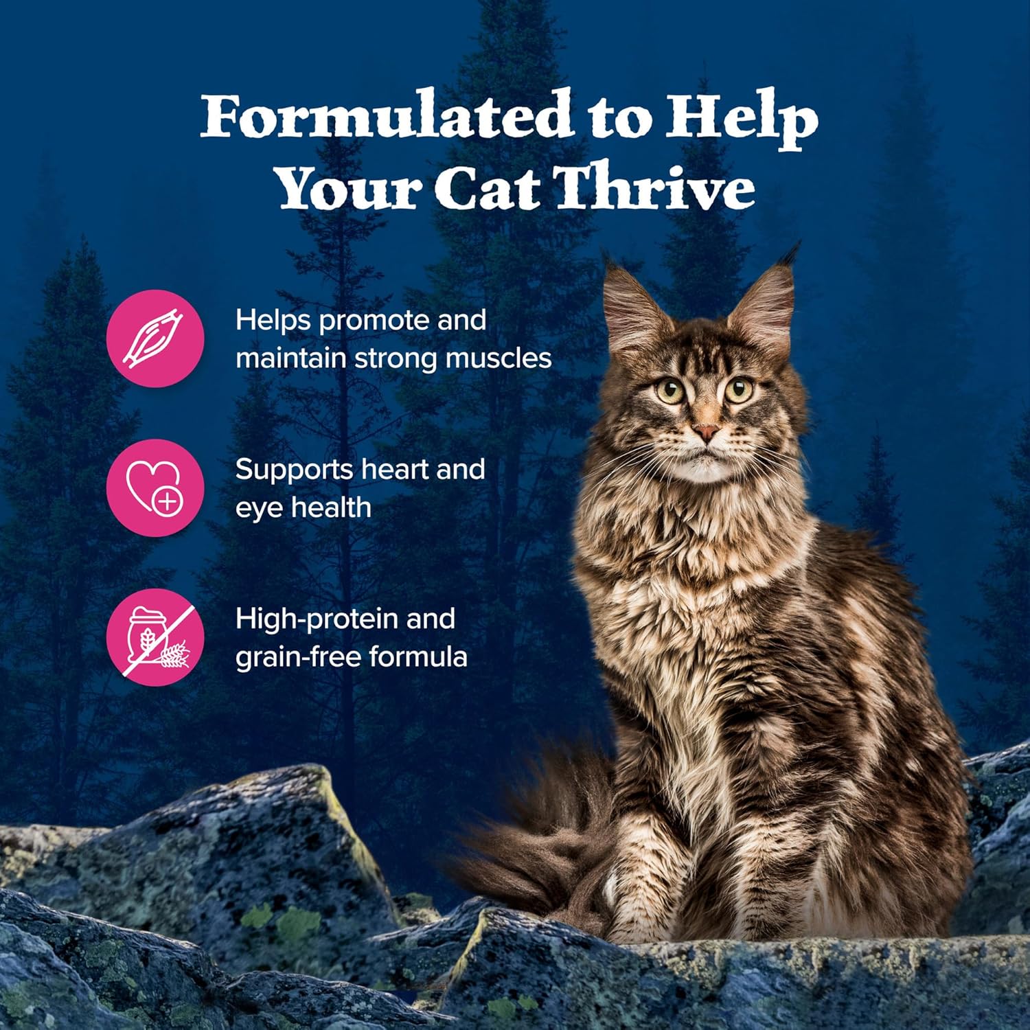 Blue Buffalo Wilderness Wild Delights Meaty Morsels Natural Wet Cat Food, Chicken & Salmon in Tasty Gravy, 3-oz. Cans, 24-Pack6
