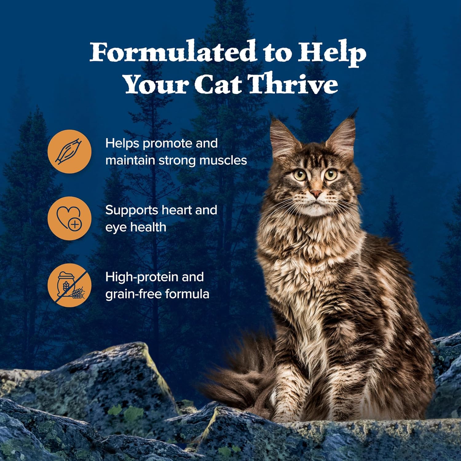 Blue Buffalo Wilderness Wild Delights Minced Natural Wet Cat Food, Chicken & Turkey in Tasty Gravy, 5.5-oz. Cans, 24-Pack5