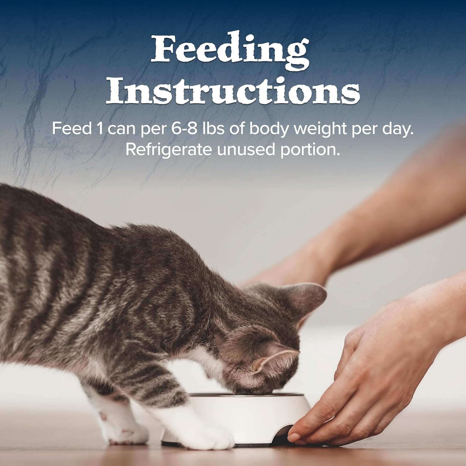 Blue Buffalo Wilderness Wild Delights Natural Wet Food for Cats, Flaked Chicken & Turkey in Tasty Gravy, 5.5-oz Cans, 24-pack15