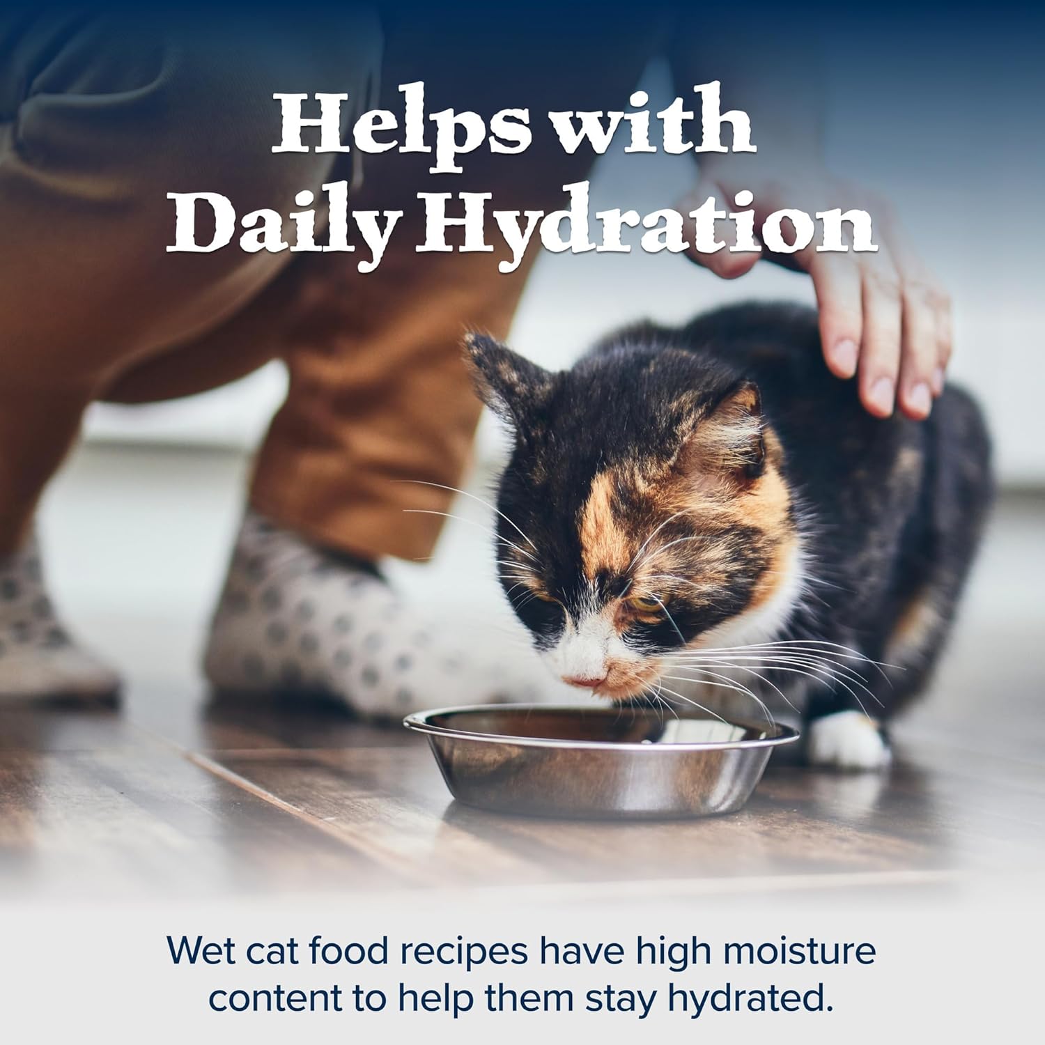 Blue Buffalo Wilderness Wild Delights Natural Wet Food for Cats, Flaked Chicken & Turkey in Tasty Gravy, 5.5-oz Cans, 24-pack9